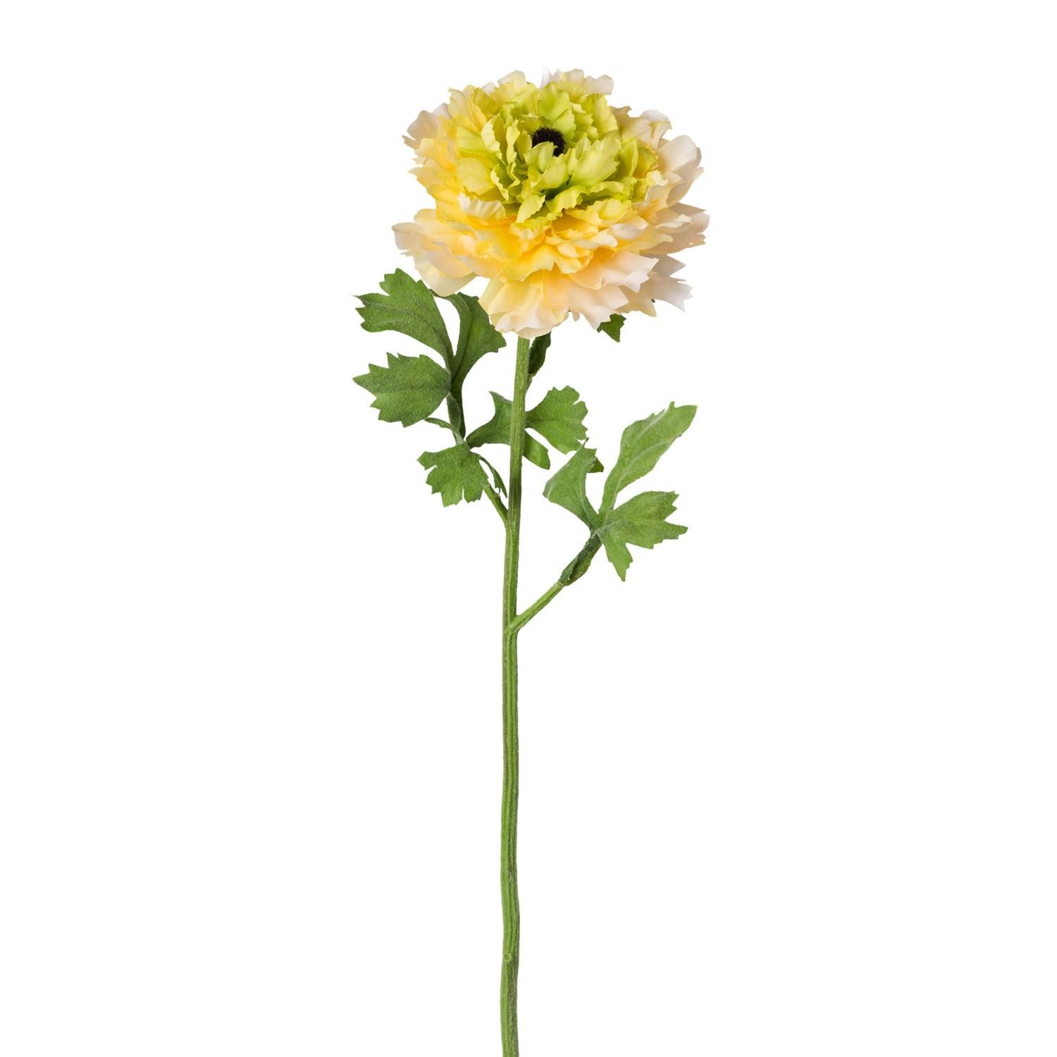 Kunstblume Ranunkel, Gasper, Höhe 52 cm, Farbe: Gelb, Motiv: Ranunkel