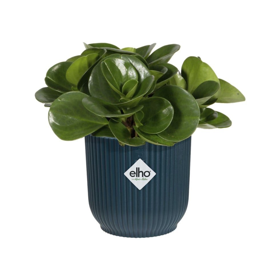 Elho Blumentopf Elho Blumentopf Vibes Fold Ø 11 x 11 cm tiefes