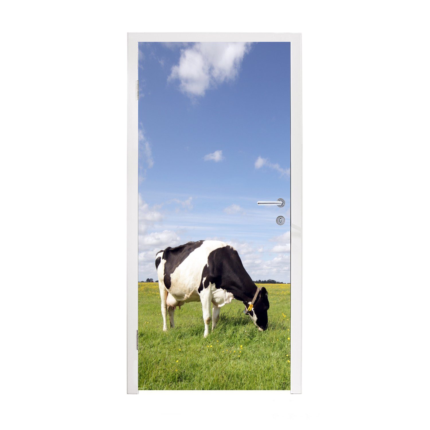 - - bedruckt, MuchoWow (1 Türtapete für Türaufkleber, - cm Matt, St), Tiere, Gras Tür, Niederlande Kuh Fototapete 75x205
