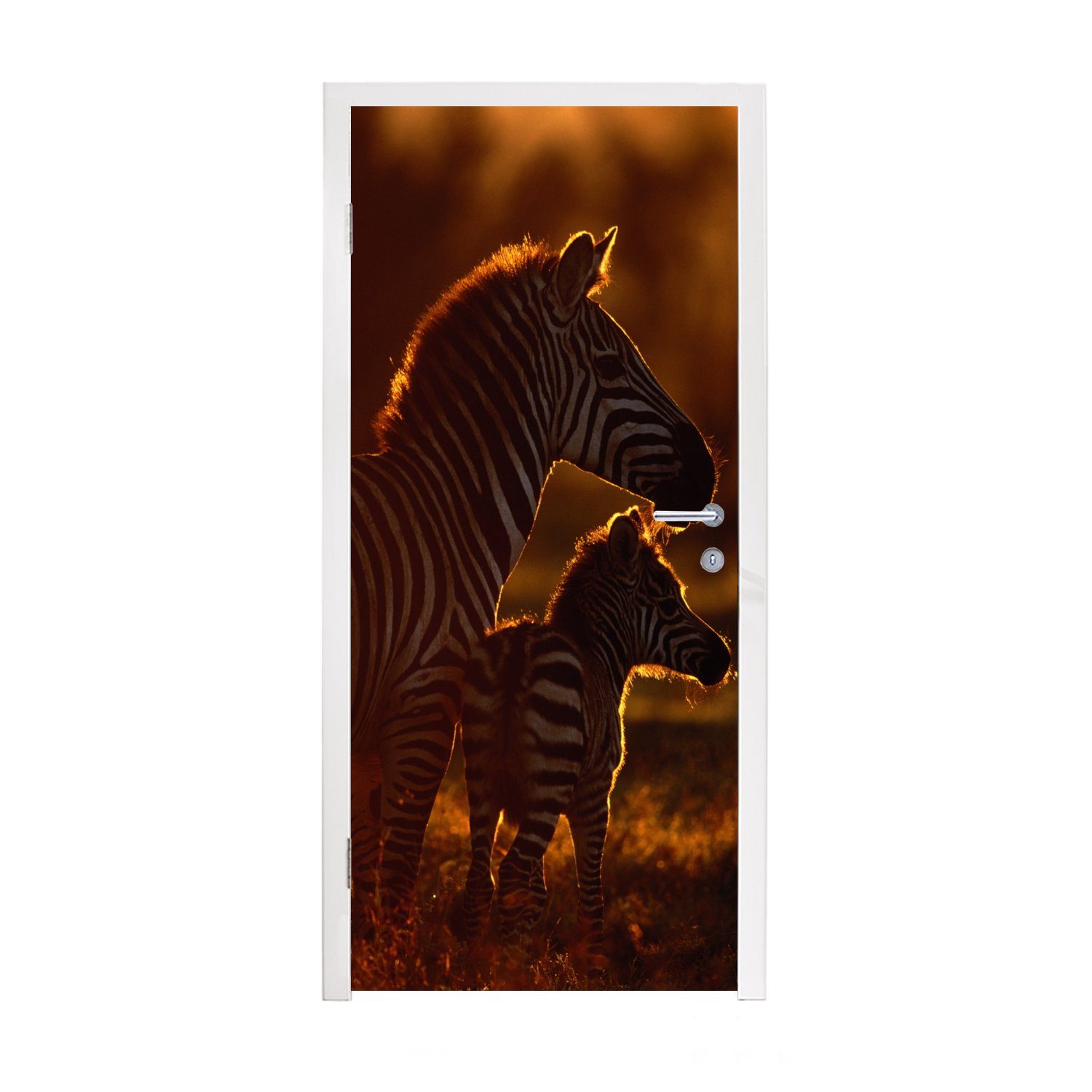 MuchoWow Türtapete Zebra - Sonne - Fohlen, Matt, bedruckt, (1 St), Fototapete für Tür, Türaufkleber, 75x205 cm