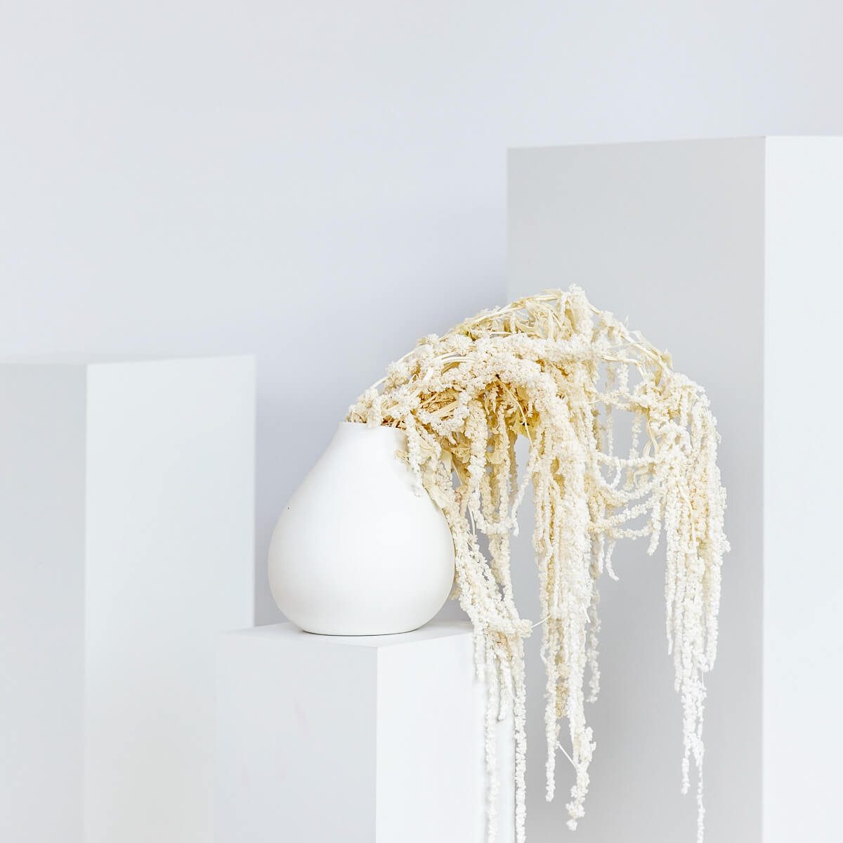 Trockenblume Amaranthus Stiele, LYKKE & You