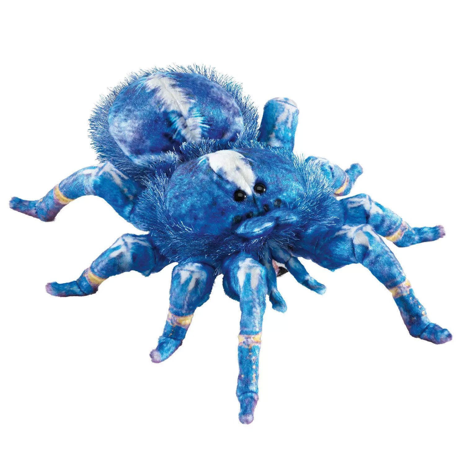 Folkmanis Панч і Джуді Handpuppe Folkmanis Handpuppe Blaue Vogelspinne / Blue Tarantula 3222 (Packung)