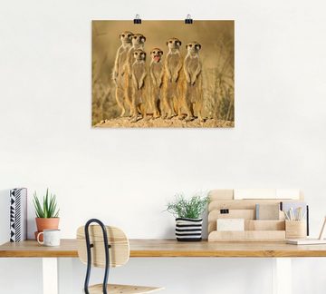 Artland Wandbild Erdmännchen Familie, Wildtiere (1 St), als Alubild, Outdoorbild, Leinwandbild, Poster, Wandaufkleber