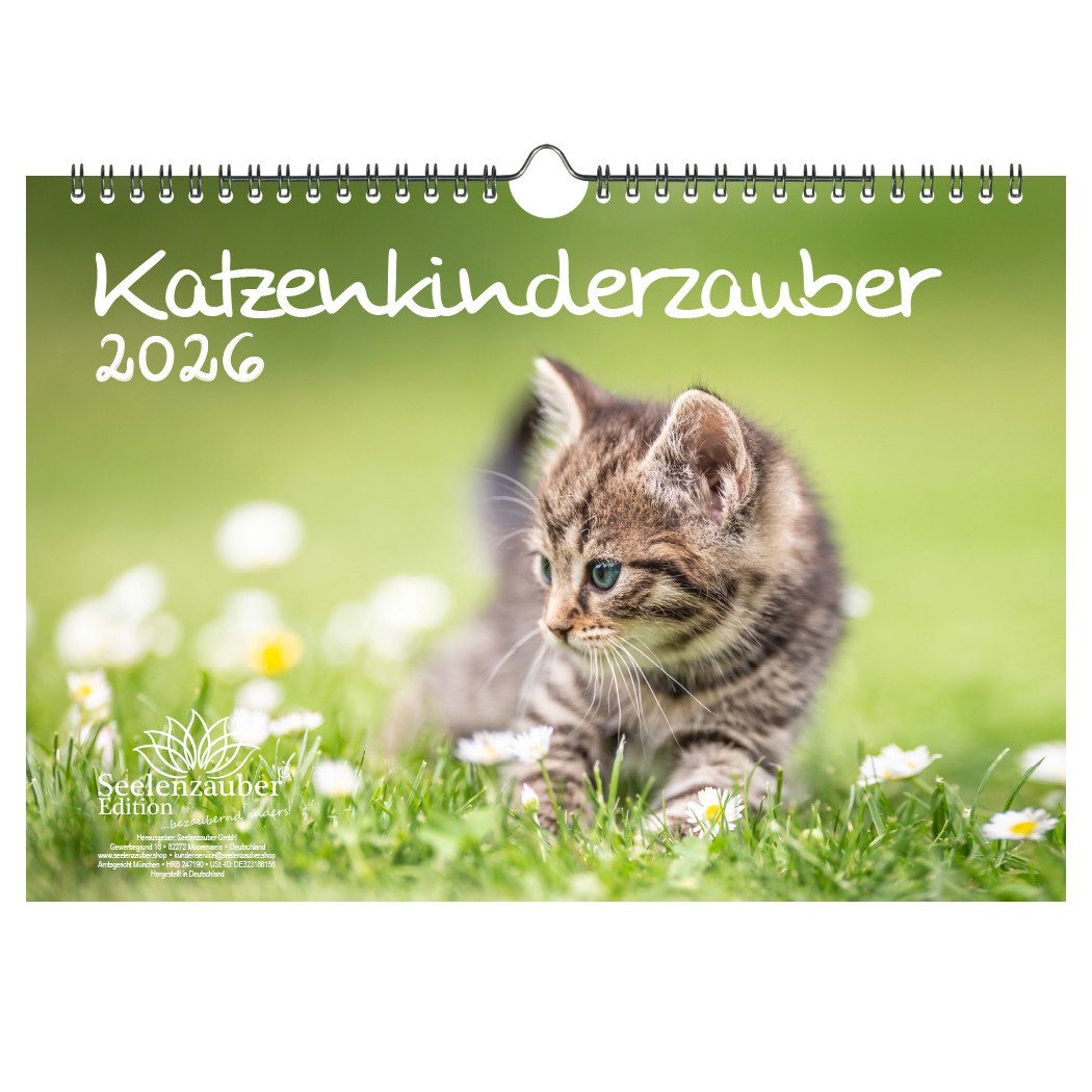 Seelenzauber Wandkalender Katzenkinderzauber DIN A4 Kalender für 2026 Katzenkinder Katzenbabys
