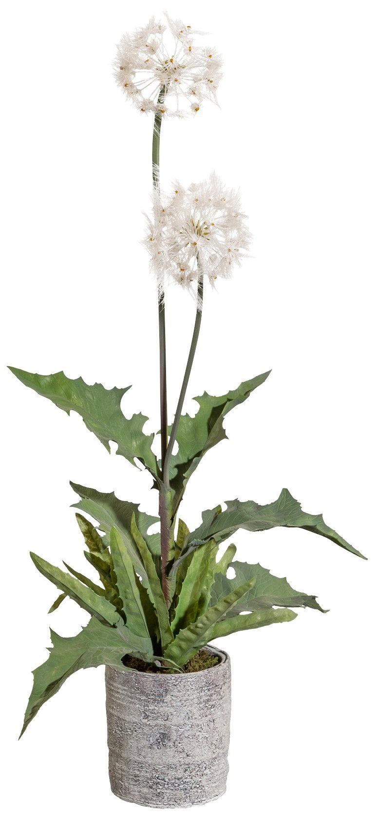 Kunstpflanze »Pusteblumenbusch«, Creativ green, Höhe 70 cm ...