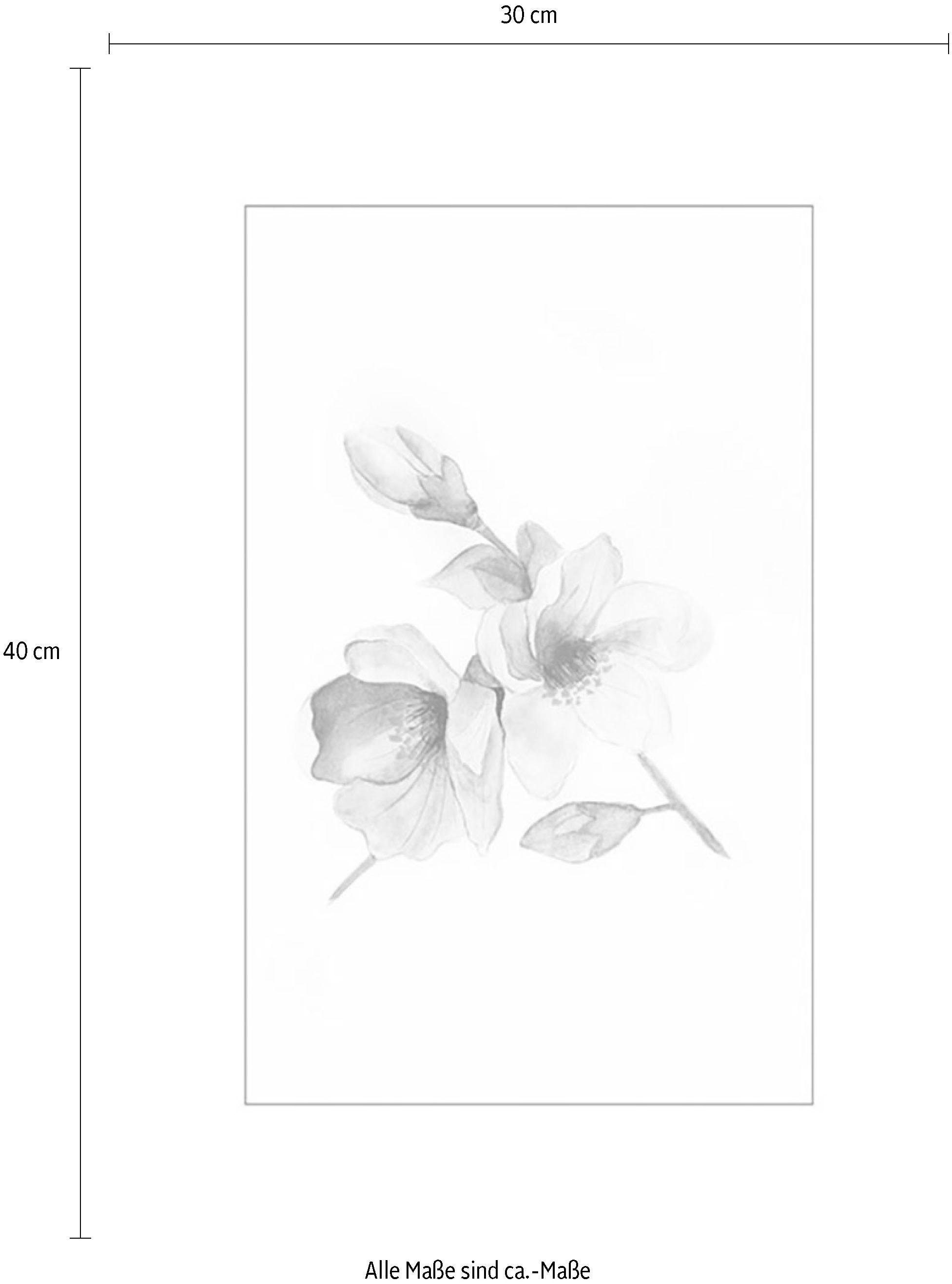 St), Blumen Breathe, Poster Magnolia Wohnzimmer Kinderzimmer, Schlafzimmer, Komar (1