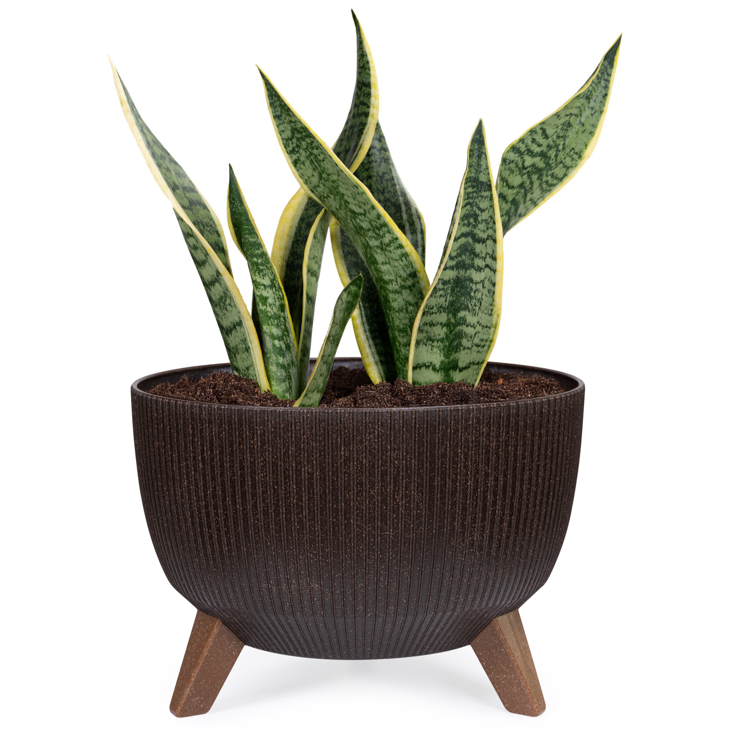 KONZEPT Blumentopf Pflanzenschale mit Füßen 33 cm, Pflanzkübel Groß Außen, Blumentopf Kunststoff, UV-Beständig, Wetterfest, Mit Wasserablauf