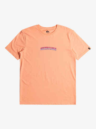 Quiksilver Print-Shirt Alleyes - T-Shirt für Männer
