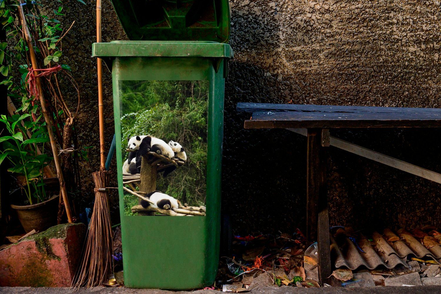 Abfalbehälter MuchoWow Wandsticker Mülltonne, Container, St), Pandas Sticker, - Holz - Treppe (1 Mülleimer-aufkleber,