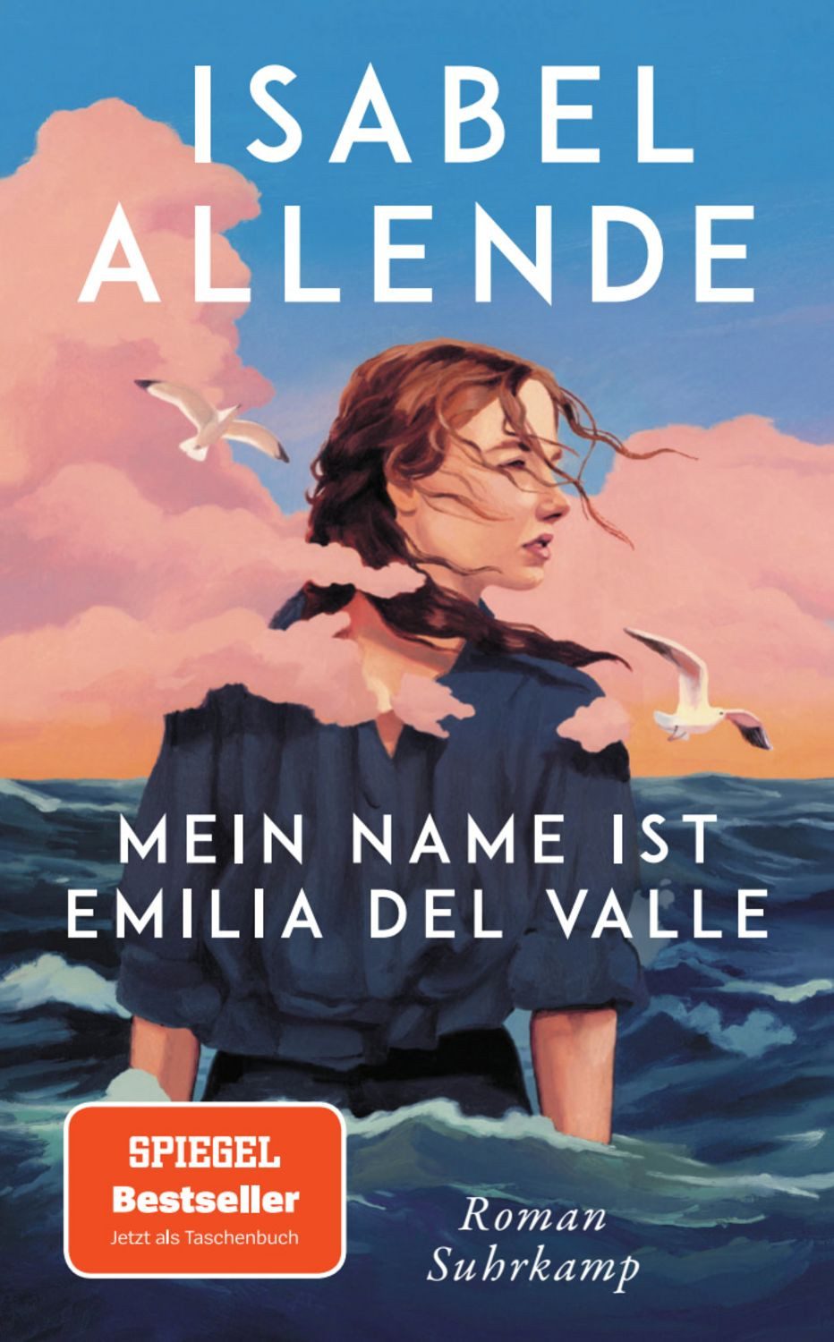 Mein Name ist Emilia del Valle / Isabel Allende