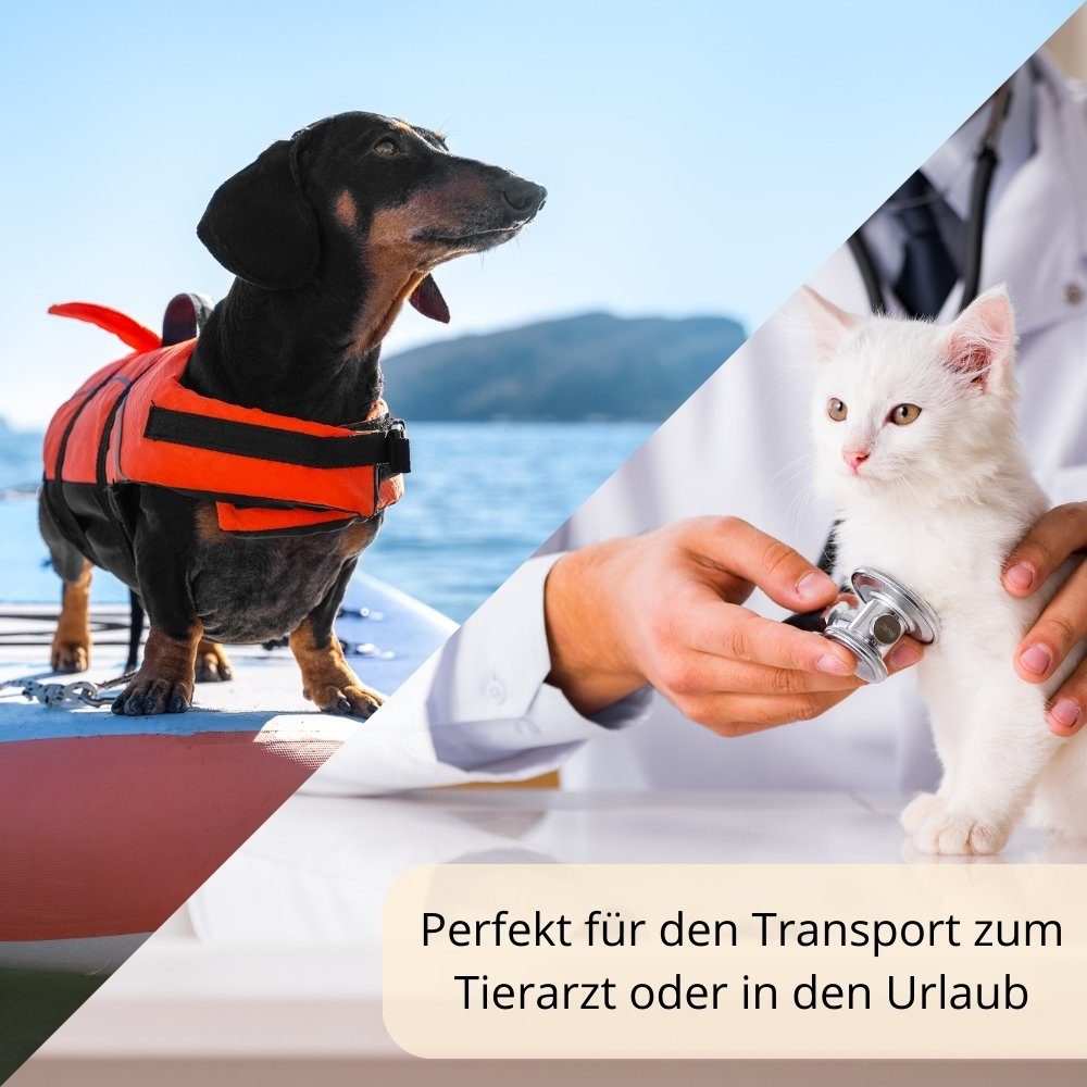 GarPet Tiertransportbox Transportbox Hunde Katzen Kaninchen Transport Auto Box Korb