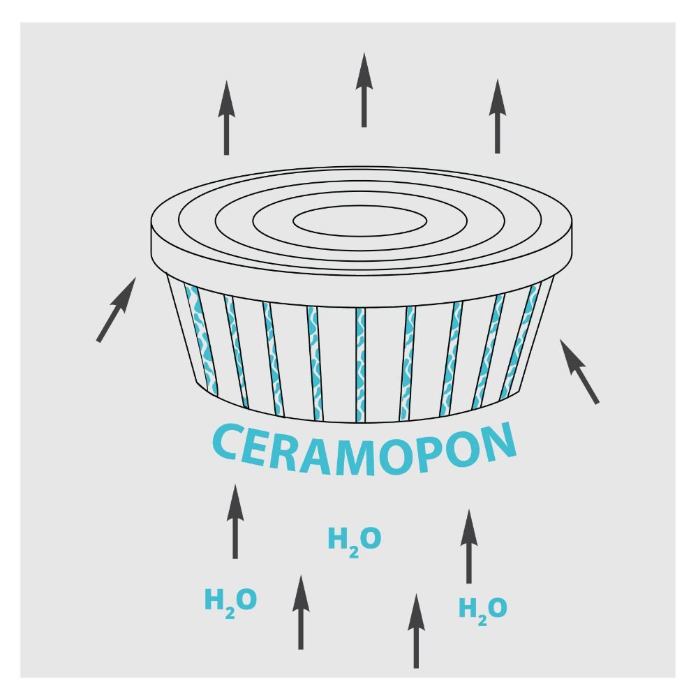 Happy plants Blumentopf Deco Twin - Selbstbewässerungstopf mit Wasserstandsüberwachung, Hochglanzoptik, rund, leichtgewichtig