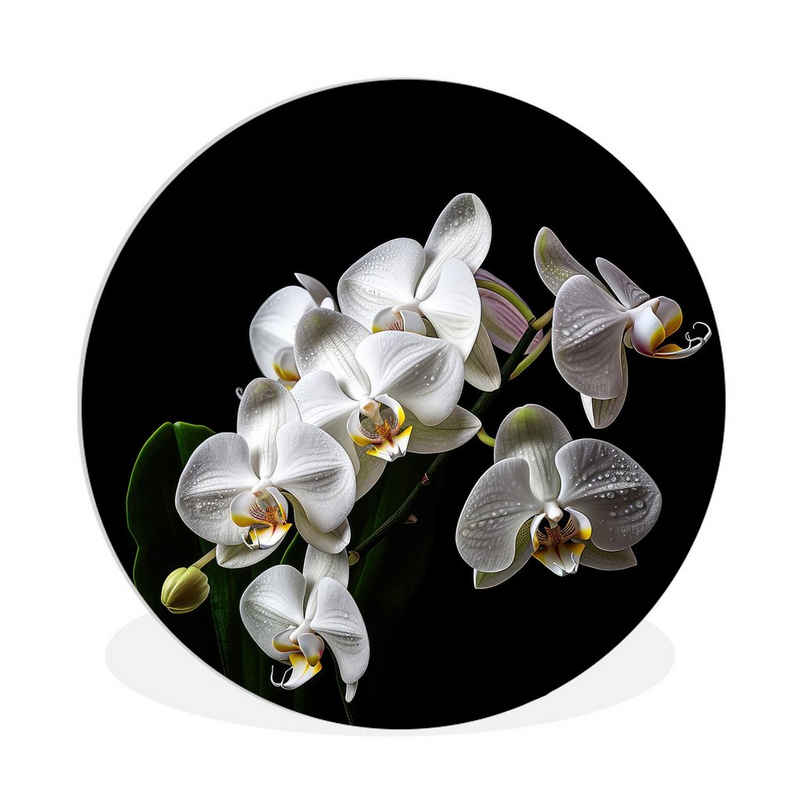 MuchoWow Gemälde Orchidee - Blumen - Weiß - Natur - Schwarz, (1 St), Rundes wandbild für Wohnzimmer, Wandkreis, Wandschmuck, 90x90 cm