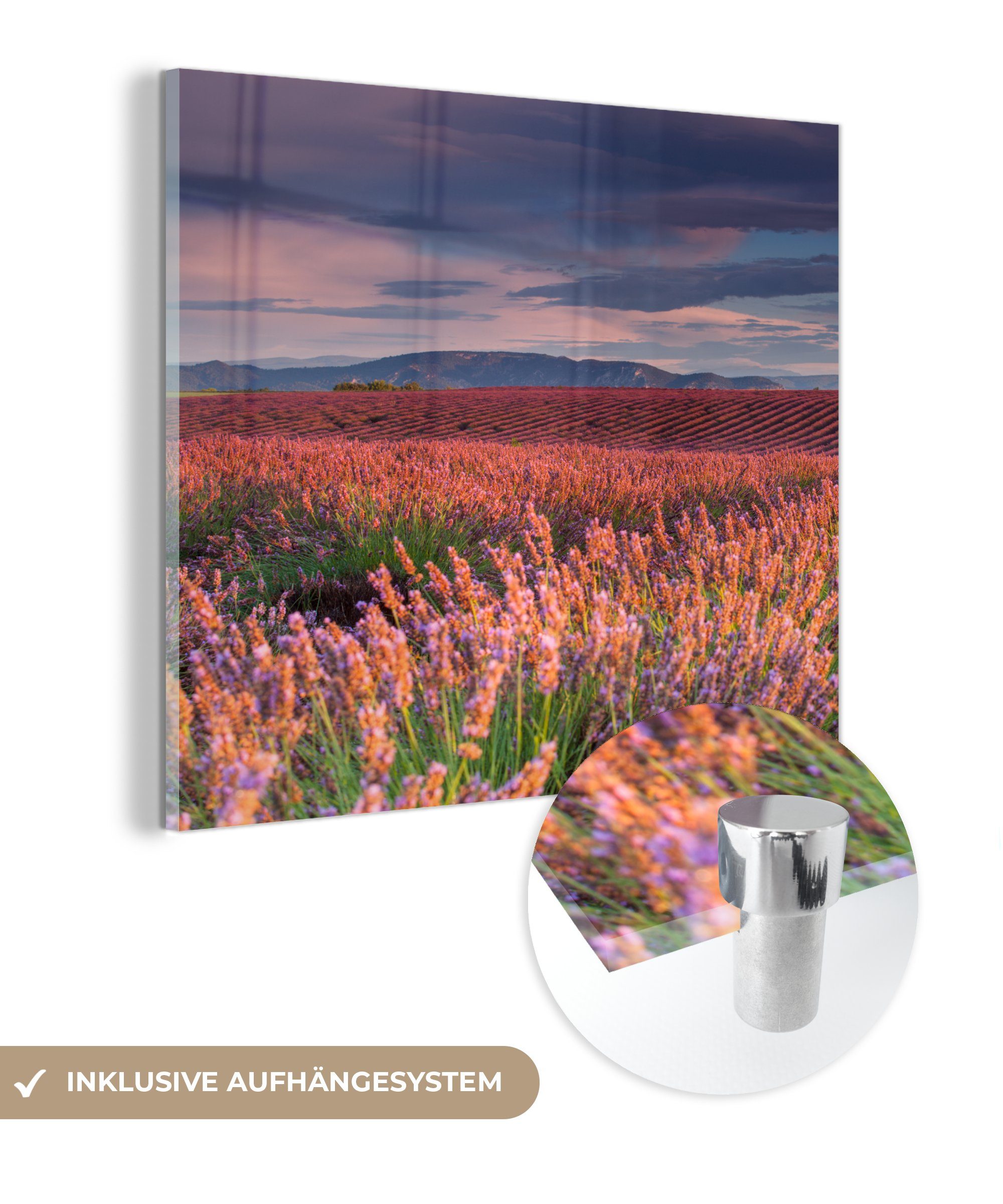 MuchoWow Acrylglasbild Lavendelfeld bei einem St), ruhigen Bilder Wandbild Glasbilder Glas Wanddekoration - auf - - Foto auf Sonnenuntergang, (1 Glas