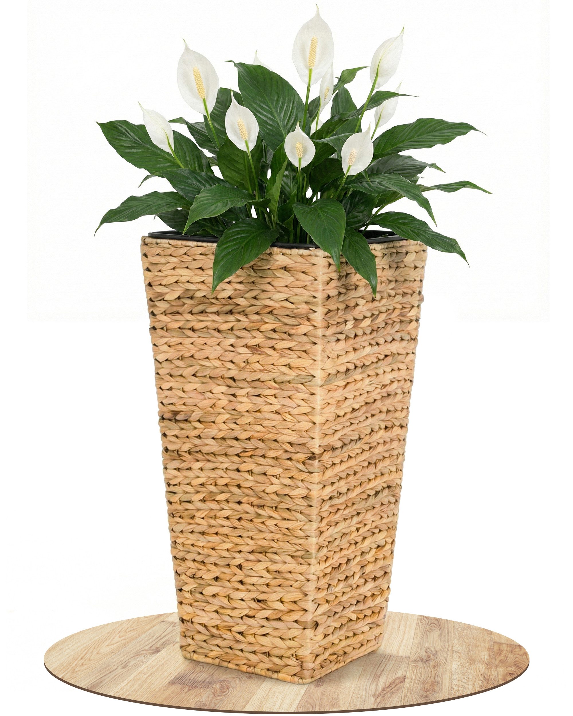 VIVANNO Pflanzkübel Wasserhyazinthe ASIA Säule - Natur Geflochten (1 St), 2 günstig online kaufen