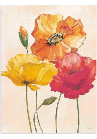 Artland Paveikslas »Bunte Mohnblumen I« Blumen...