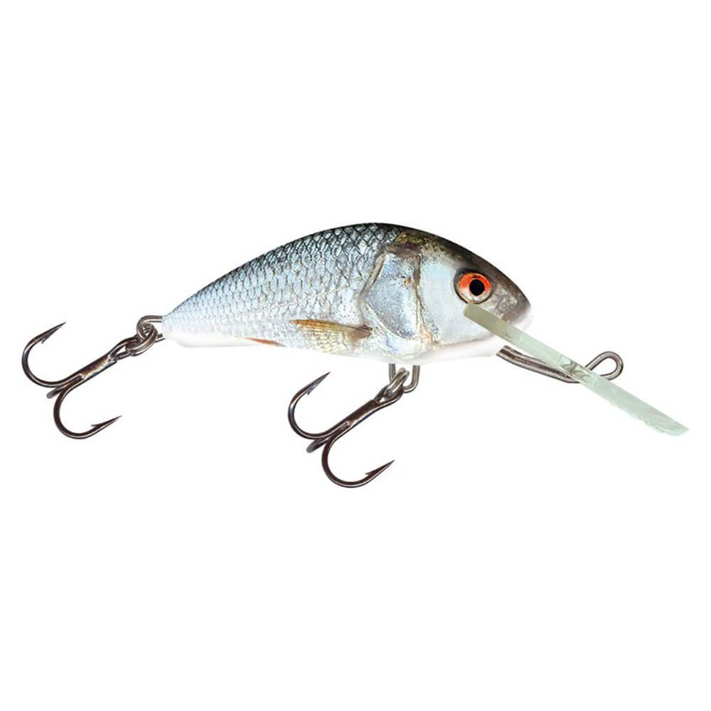 Salmo Kunstköder Salmo Hornet Wobbler hasel real dace RD, (1-St)