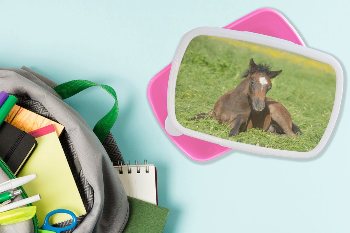 MuchoWow Lunchbox Pferde - Licht Erwachsene, Brotbox Kunststoff, (2-tlg), Gras, Brotdose Kinder, für rosa Mädchen, Snackbox, Kunststoff 