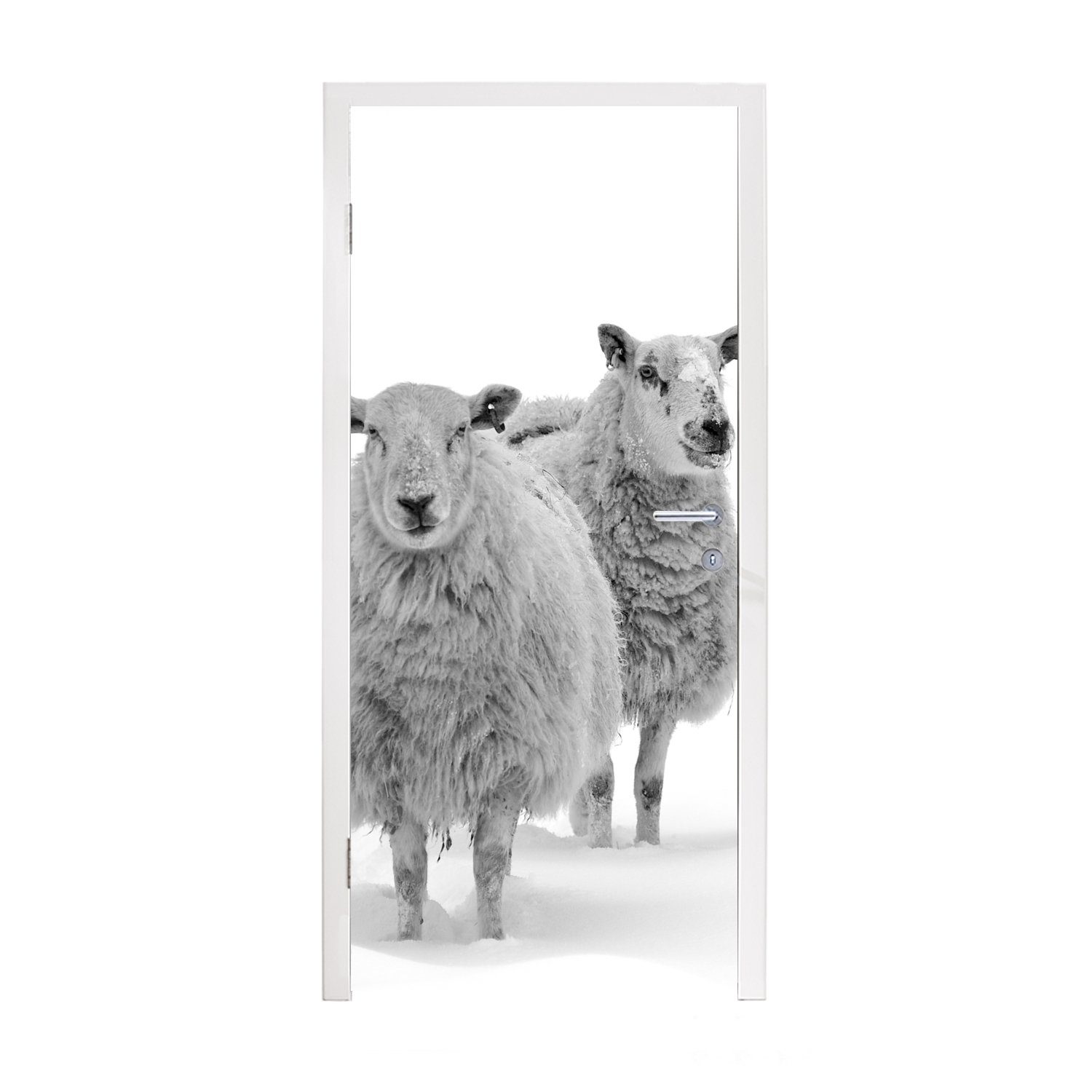 MuchoWow Türtapete Schafe - Schnee - Weiß, Matt, bedruckt, (1 St), Fototapete für Tür, Türaufkleber, 75x205 cm