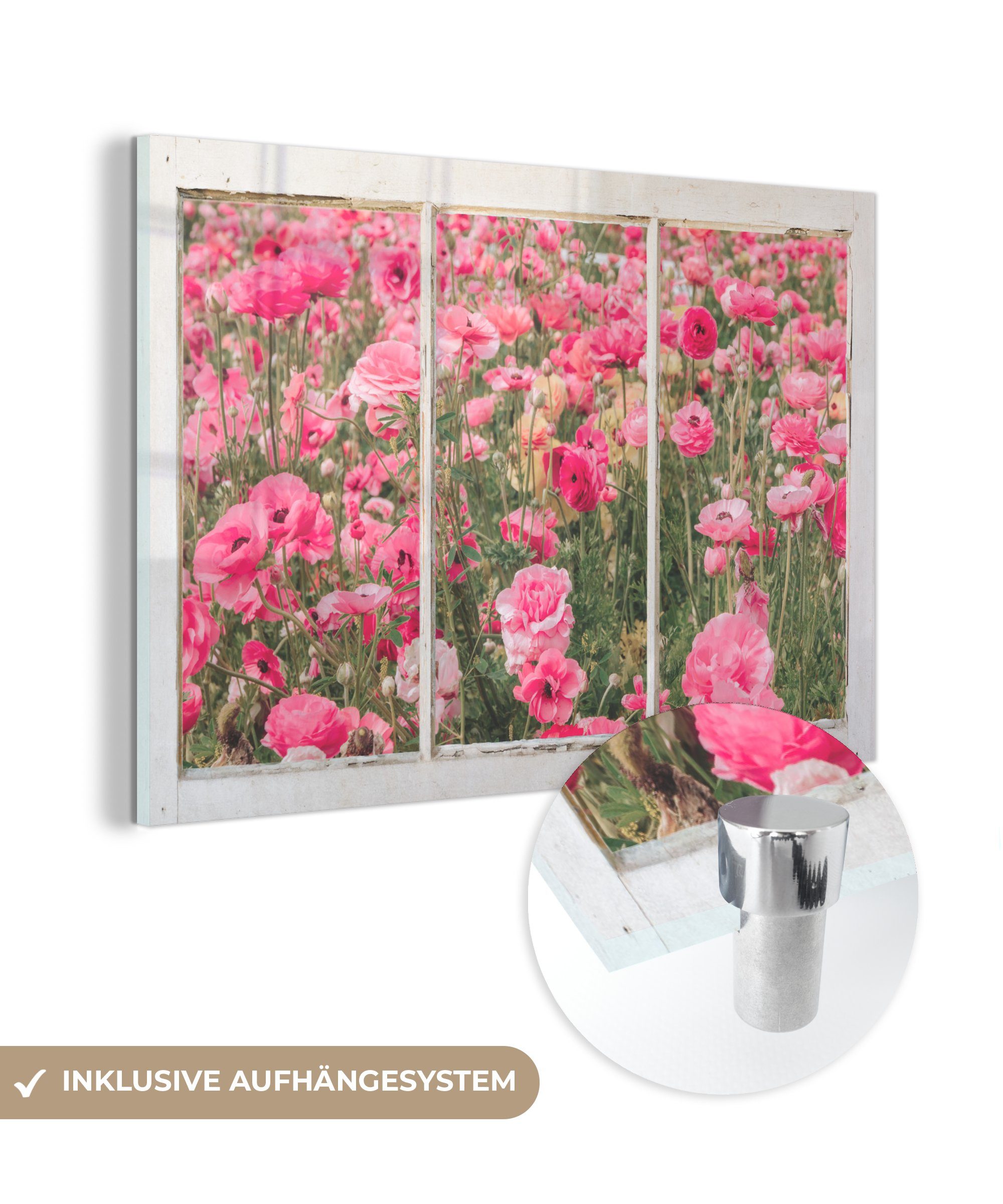 MuchoWow Acrylglasbild Durchsichtig - Blumen - Rosa, (1 St), Glasbilder - Bilder auf Glas Wandbild - Foto auf Glas - Wanddekoration