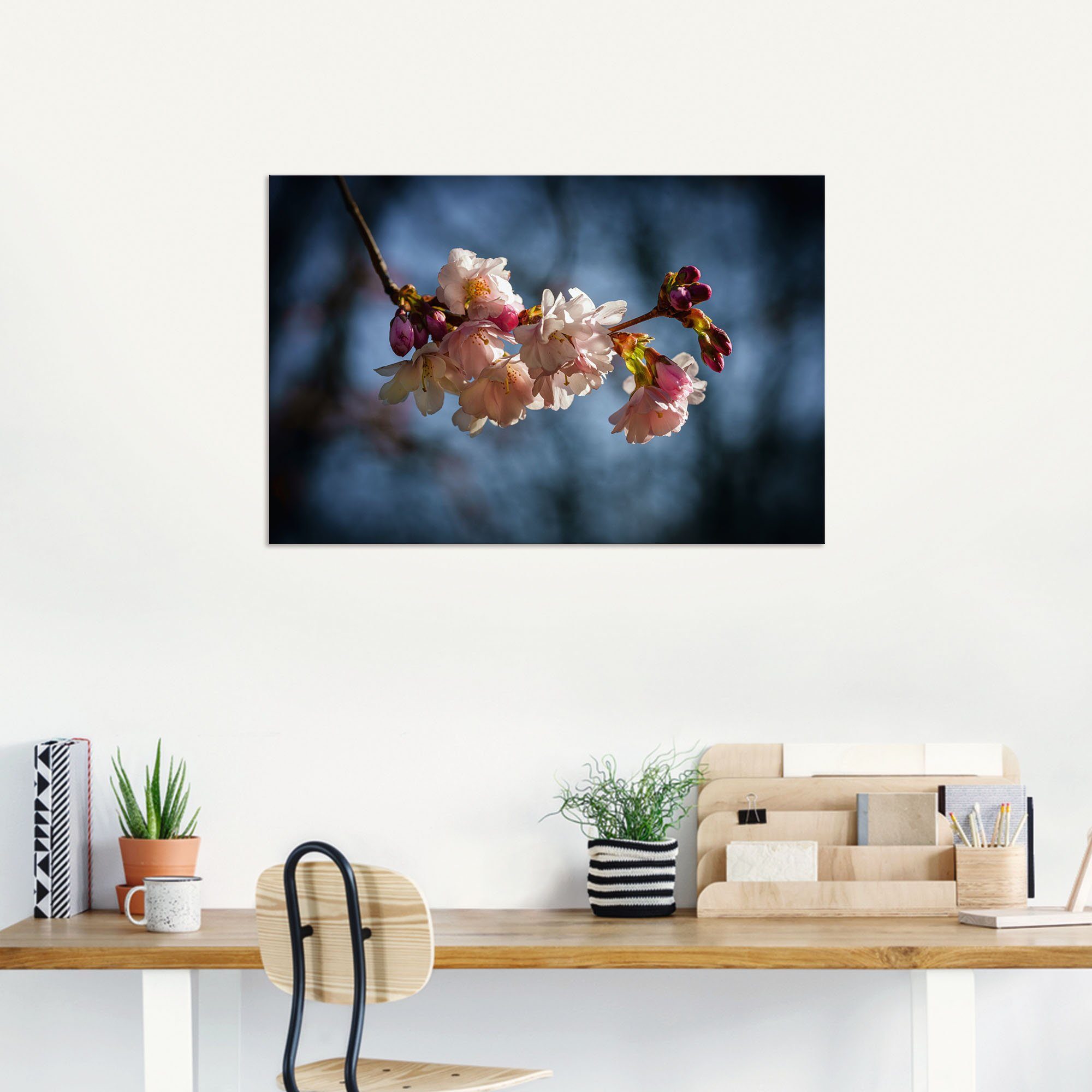 Artland Alu-Dibond-Druck Kirschblüte im Frühling, Blumenbilder (1 St), für Innen- und Außenbereich geeignet, Outdoorbild