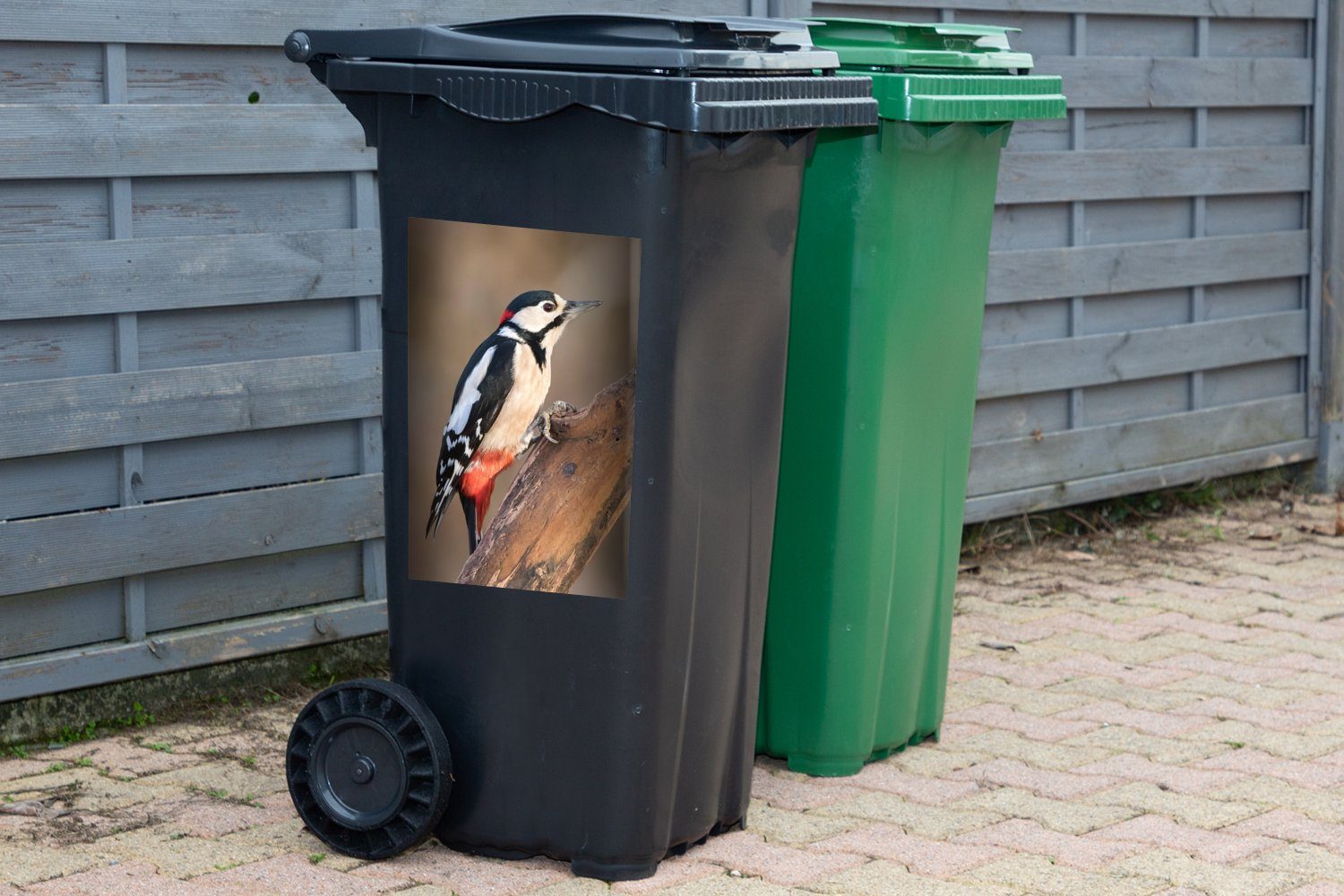 Mülltonne, Sonnenuntergang Abfalbehälter MuchoWow Buntspecht Sticker, St), Container, (1 bei Ein Mülleimer-aufkleber, Wandsticker