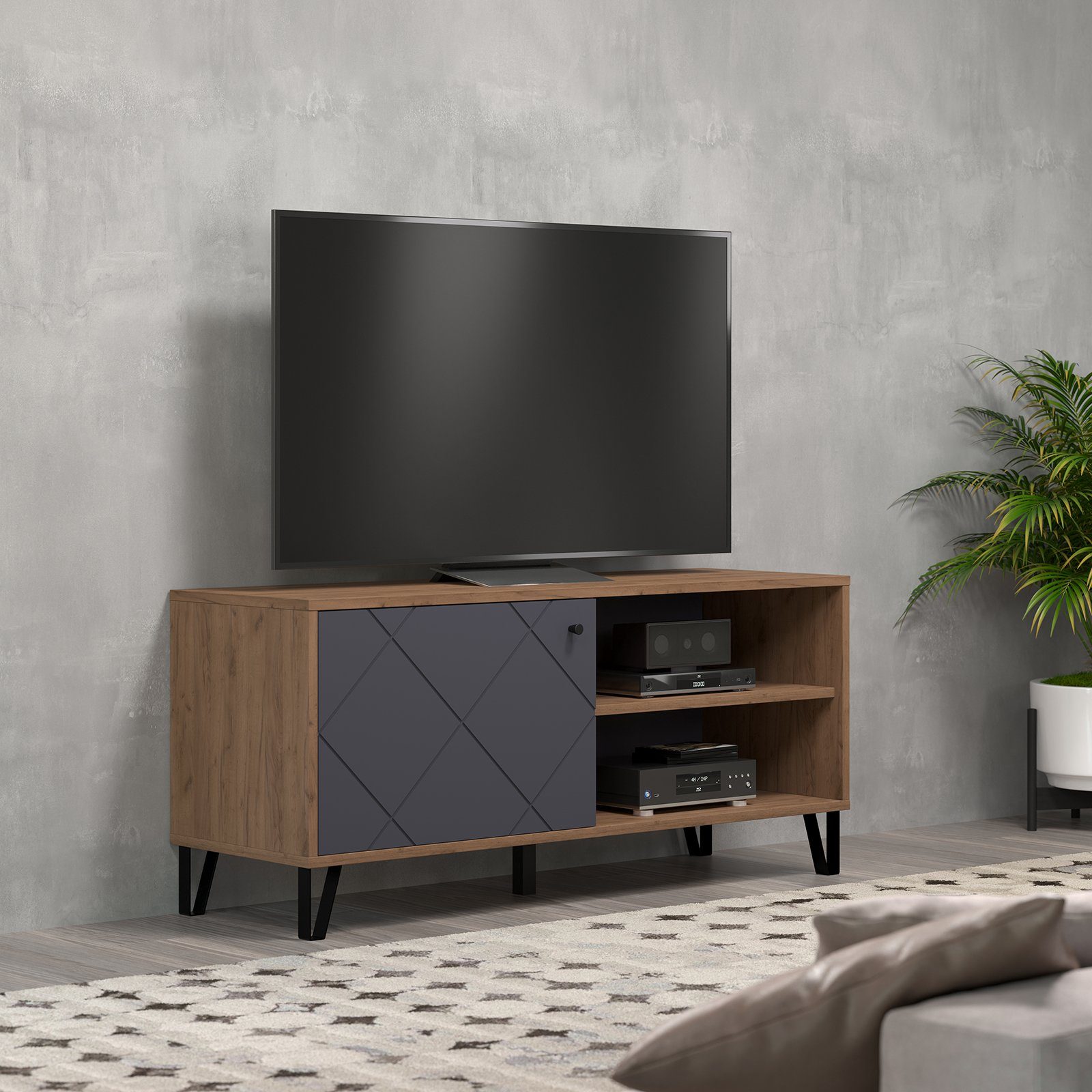 trendteam TV-Board, TV-Möbel Fernsehschrank Lowboard HiFi günstig online kaufen