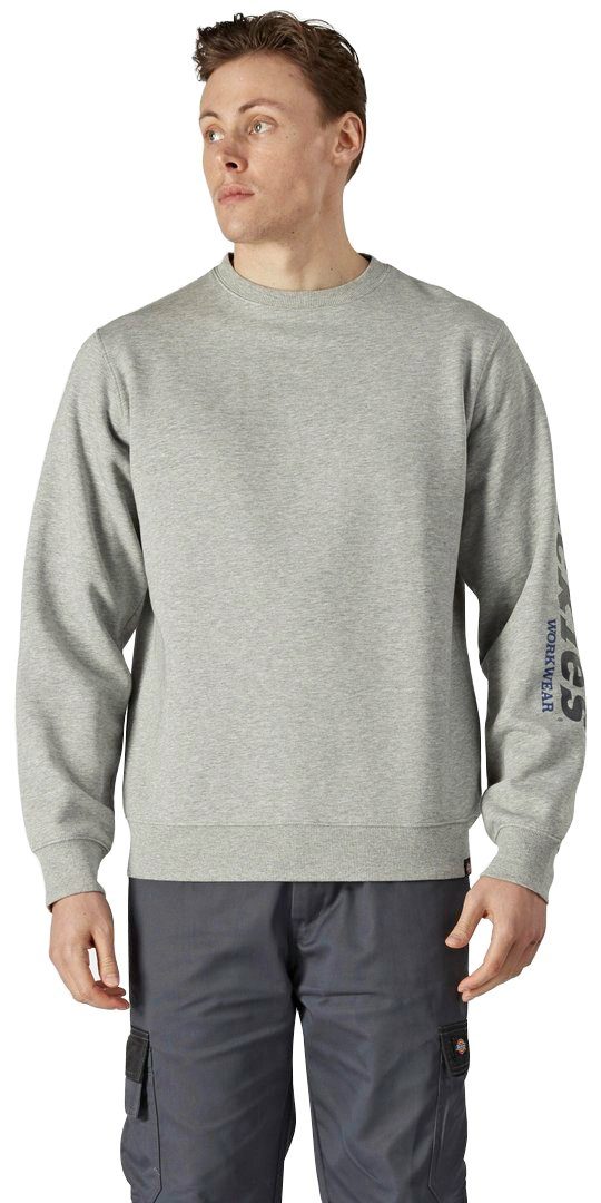 Dickies Sweatshirt Okemo-Graphic, Mit auffäligem, auf Arm dem reflektierendem linken Grafikdruck