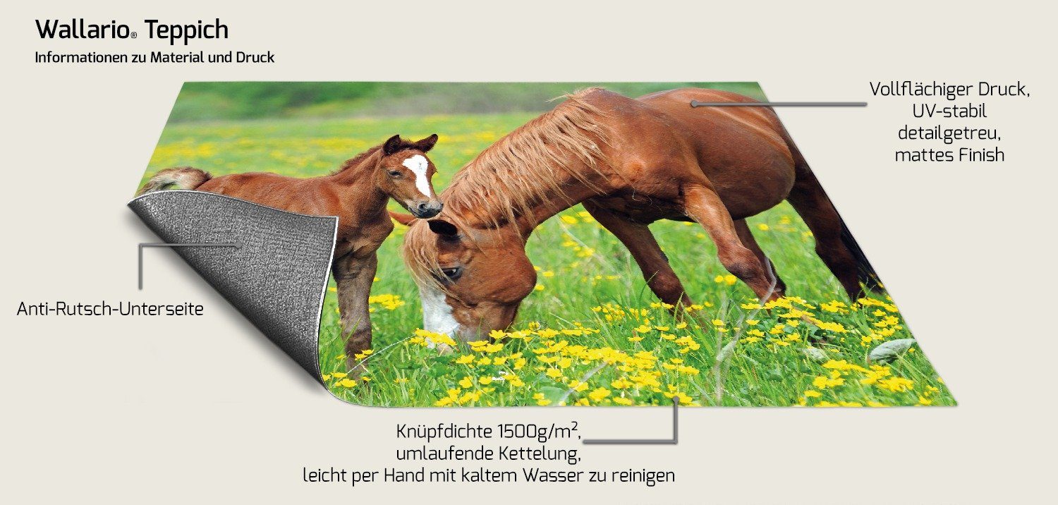 Wallario Teppich Pferde auf der Koppel, rechteckig, rutschfest