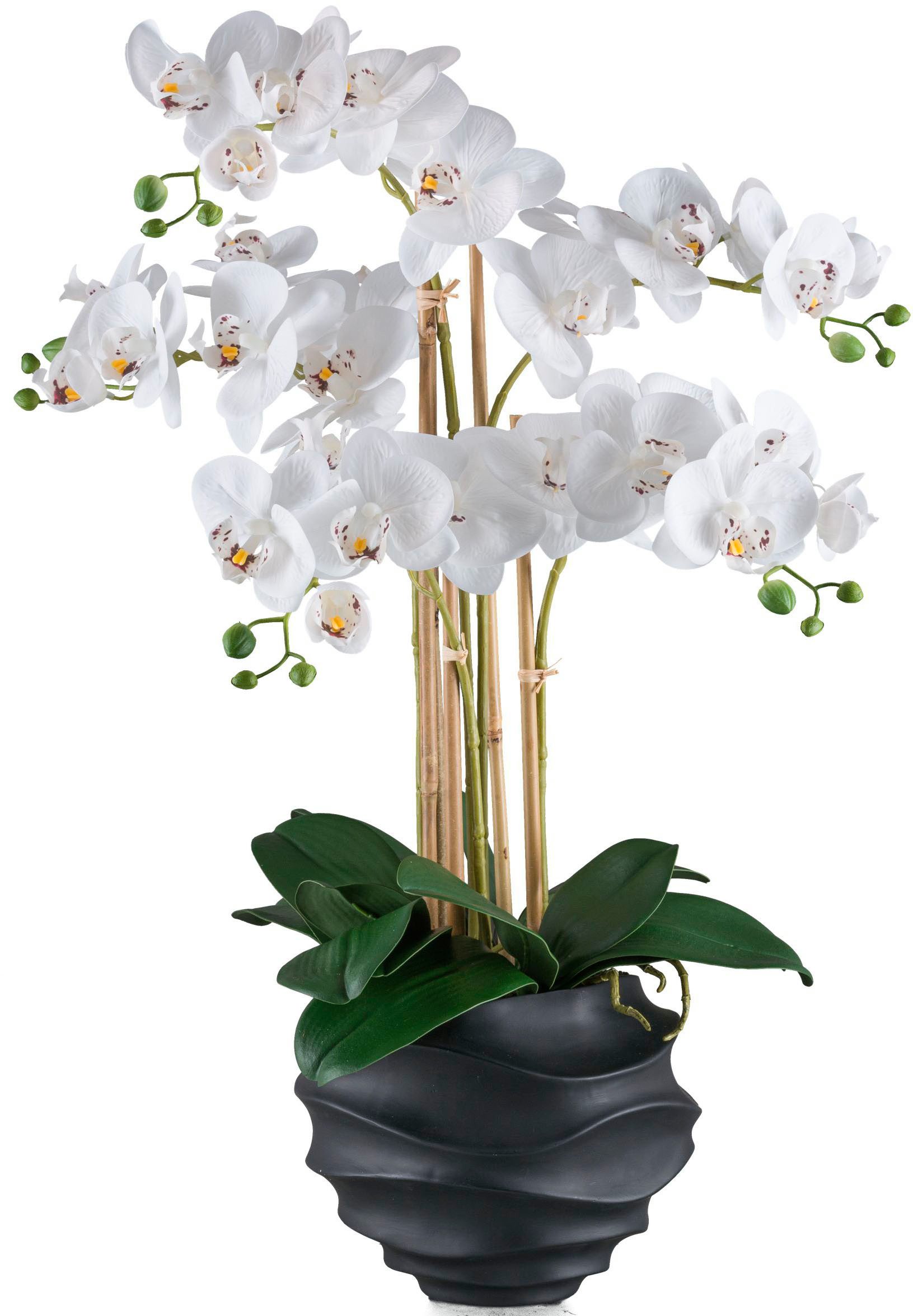 Kunstorchidee Orchidee Phalaenopsis, Creativ green, Höhe 70 cm, im Design-Topf, künstliche Orchidee