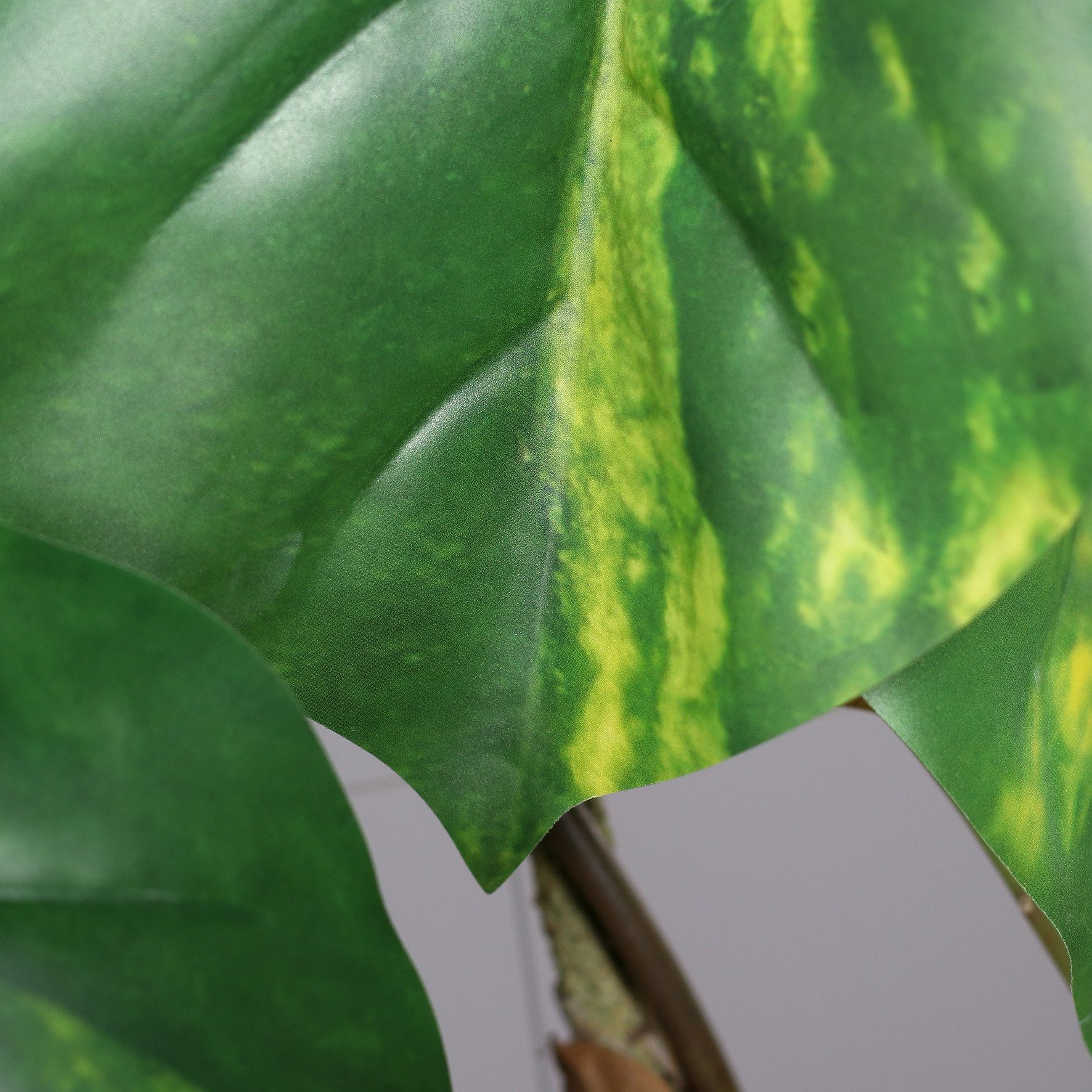 Kunstgirlande Photosgirlande Real Touch 200cm DP Kunstpflanzen künstliche Pflanzen Photos, Seidenblumen Roß, Höhe 200 cm