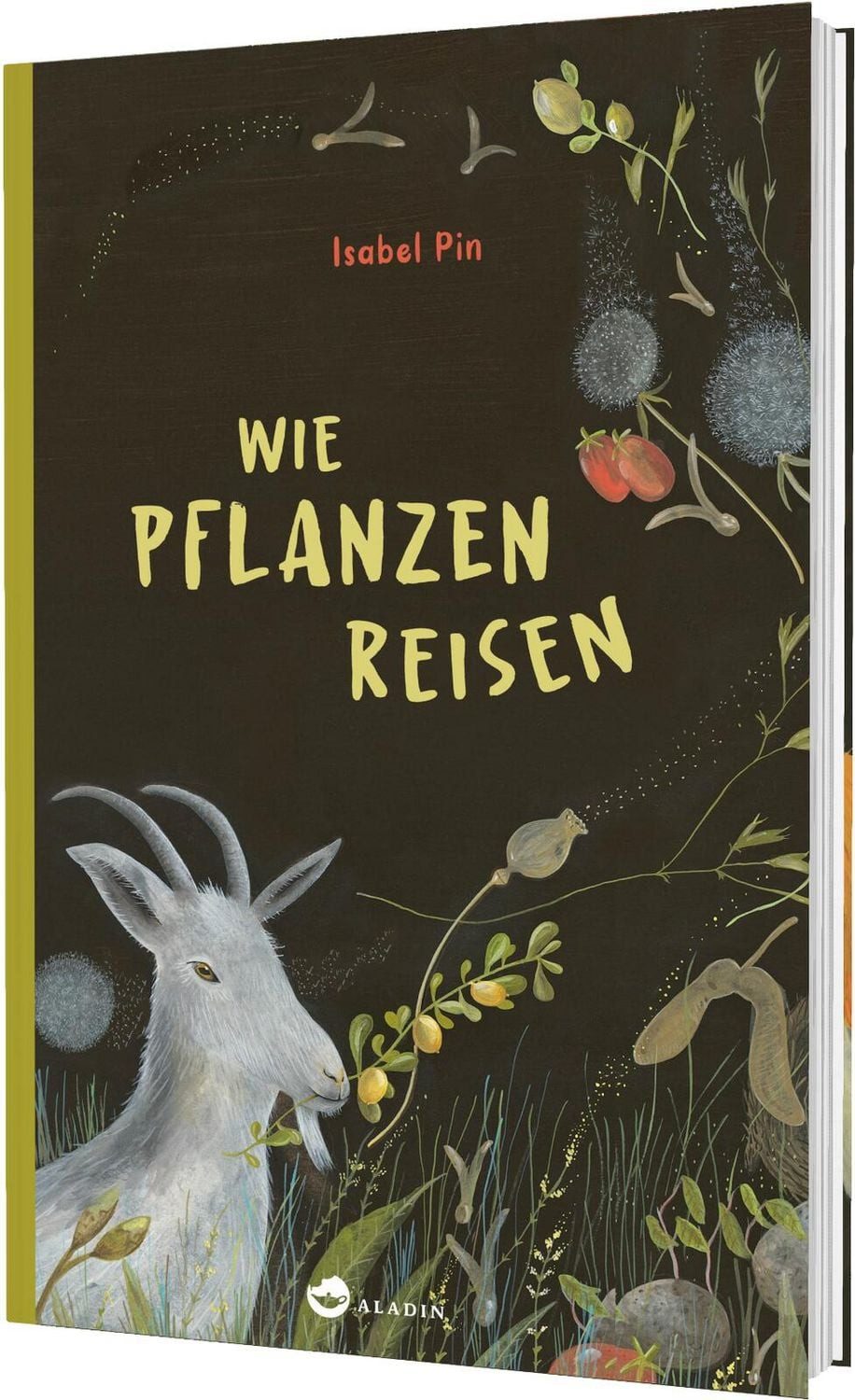 Wie Pflanzen reisen / Isabel Pin