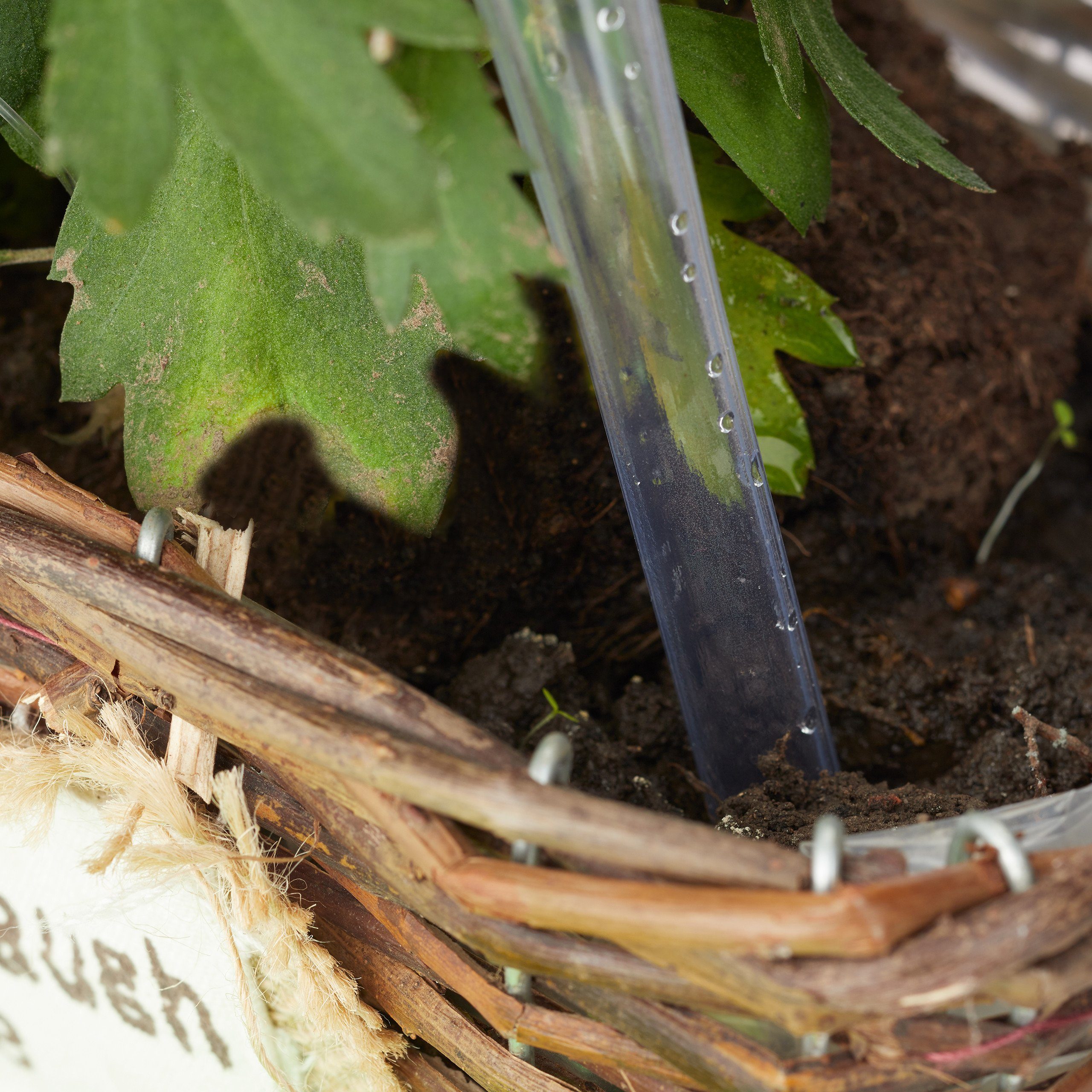 relaxdays Dripper 12 x Watering Globes Transparent