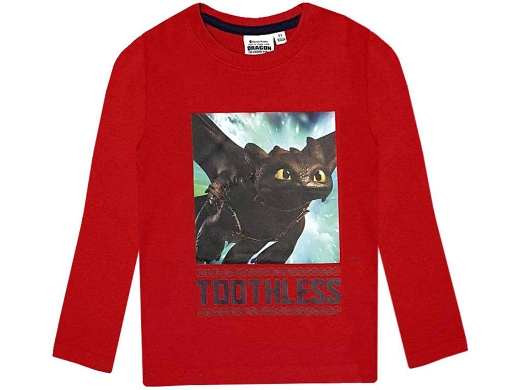 Langarmshirt Dragons Langarmshirt Hicks und Ohnezahn