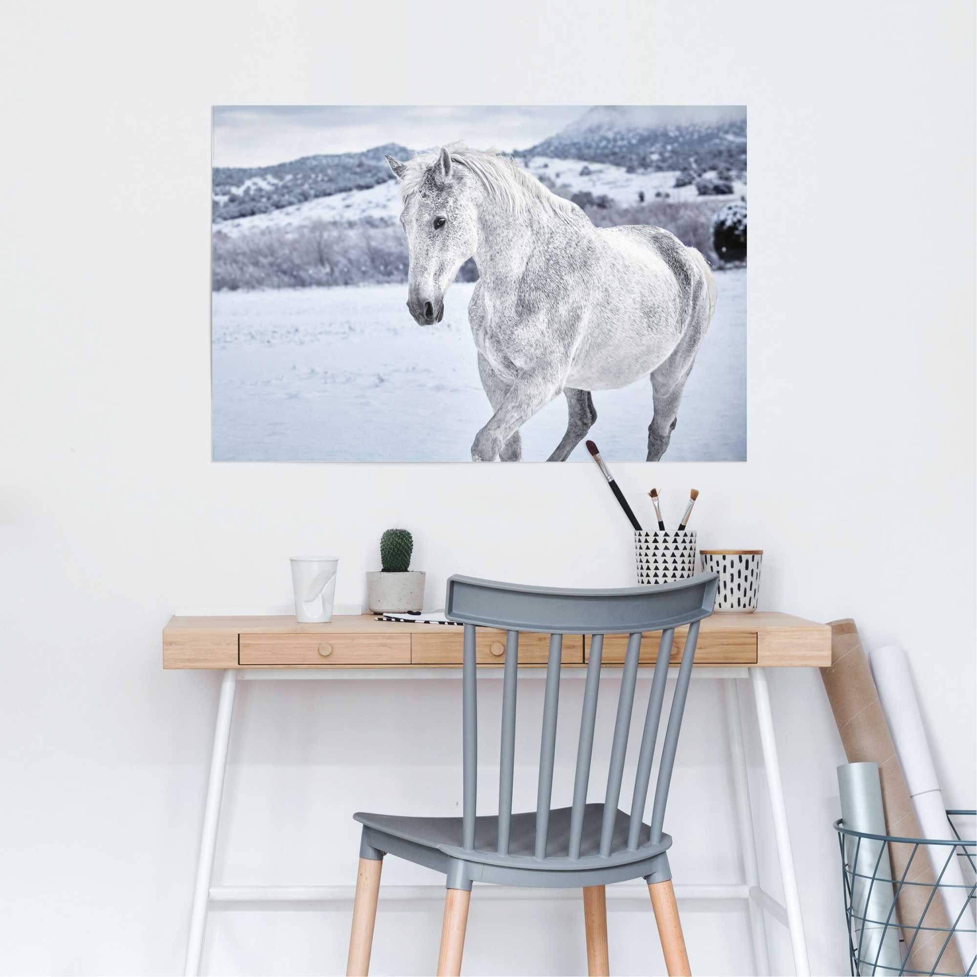 Reinders! Poster im (1 Schnee, St) Pferd