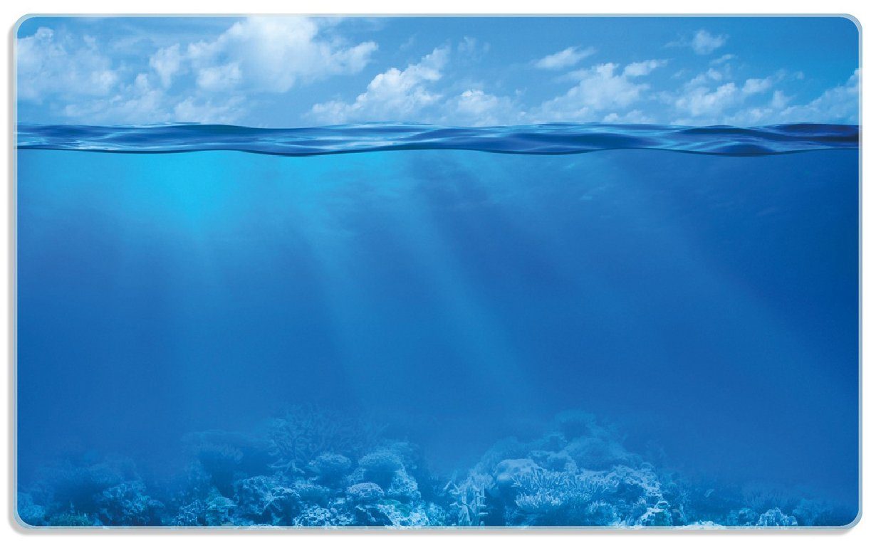 Wallario Frühstücksbrett Unterwasserwelt Meer, ESG-Sicherheitsglas, (inkl. rutschfester Gummifüße 4mm, 1-St), 14x23cm