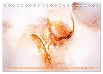 CALVENDO Wandkalender Würziges Eis (Tischkalender 2024 DIN A5 quer), CALVENDO Monatskalender