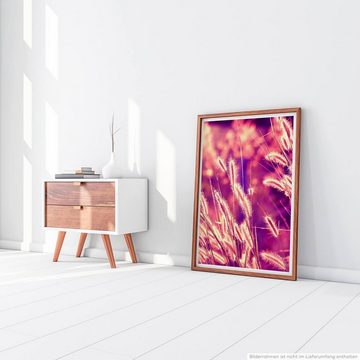 Sinus Art Poster Naturfotografie 60x90cm Poster Schilfrohr im warmen Sonnenlicht