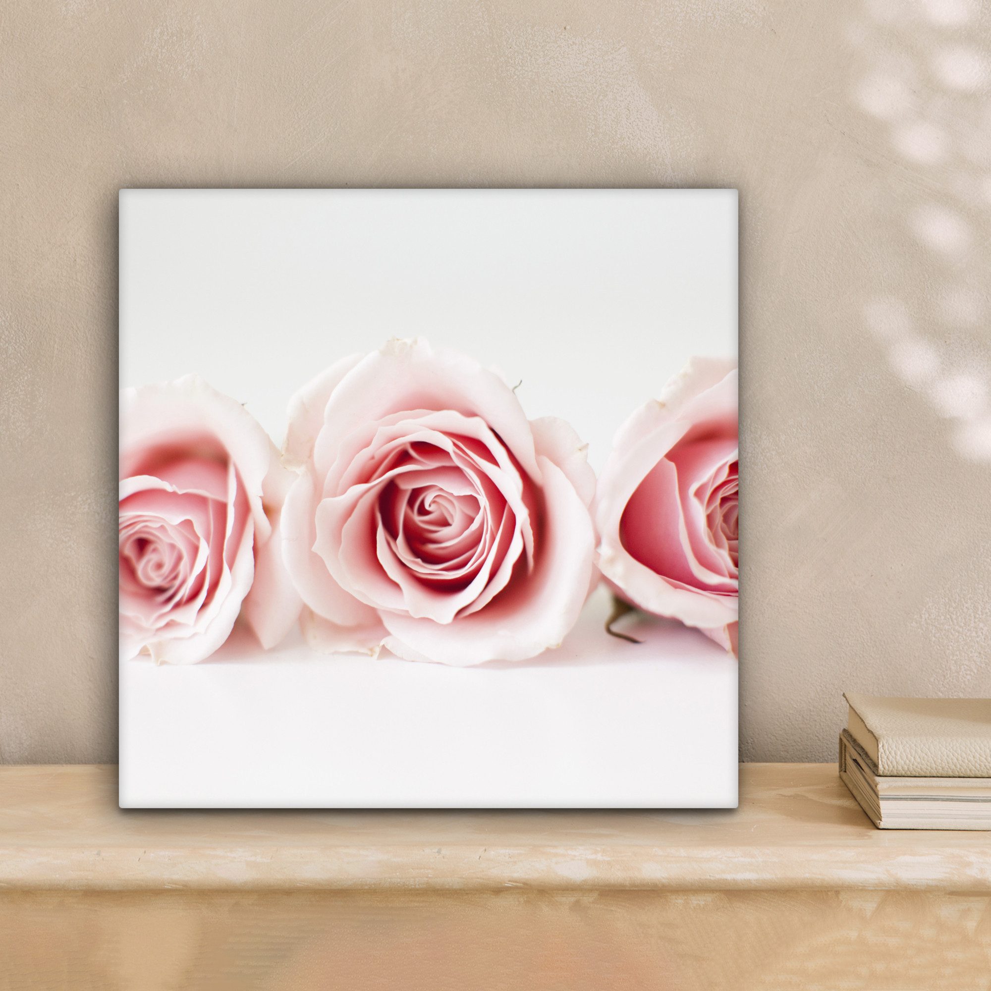 OneMillionCanvasses® Leinwandbild Studioaufnahme von drei rosa günstig online kaufen