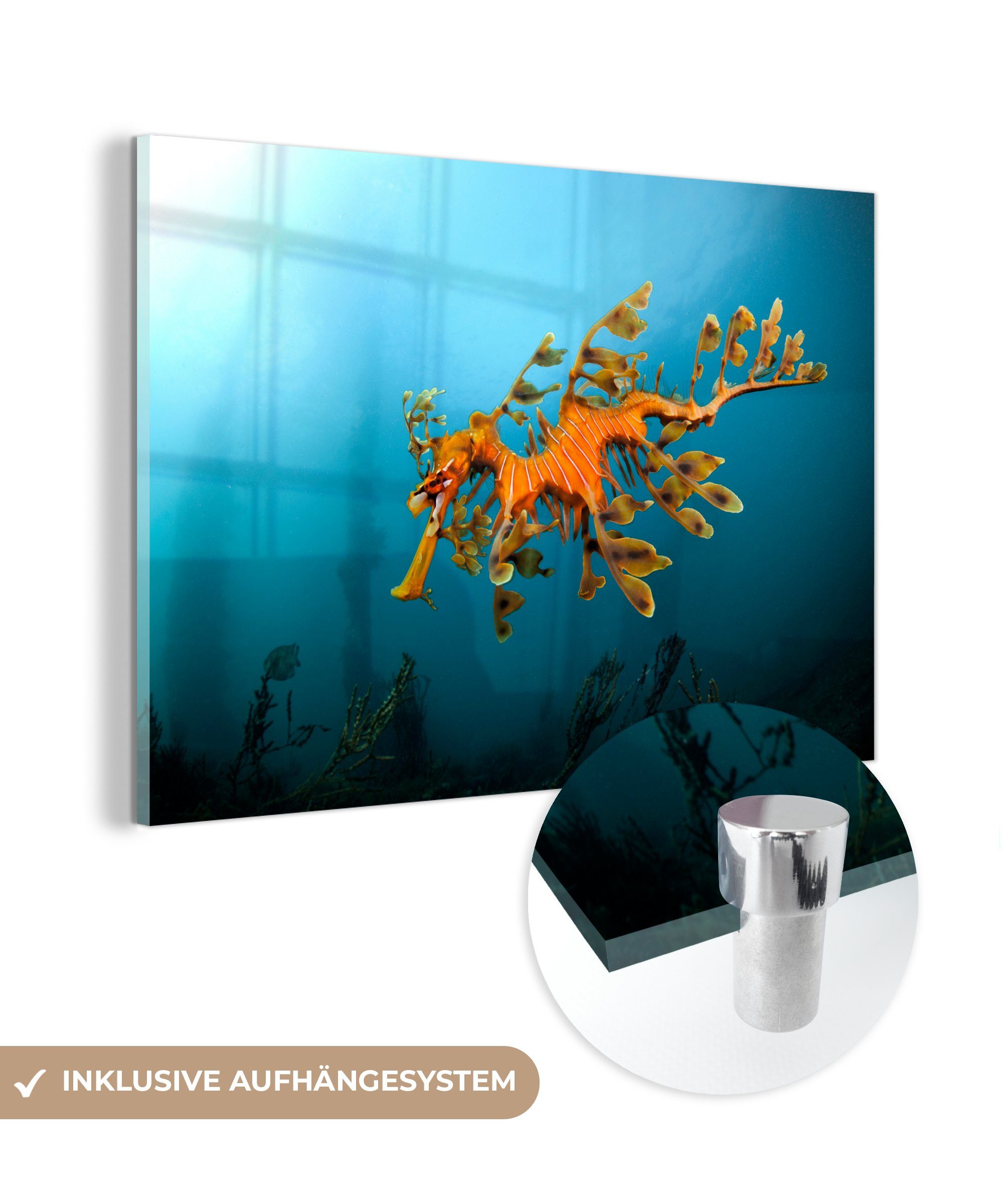 MuchoWow Acrylglasbild Schwimmen große Ausfransung, (1 St), Acrylglasbilder Wohnzimmer & Schlafzimmer