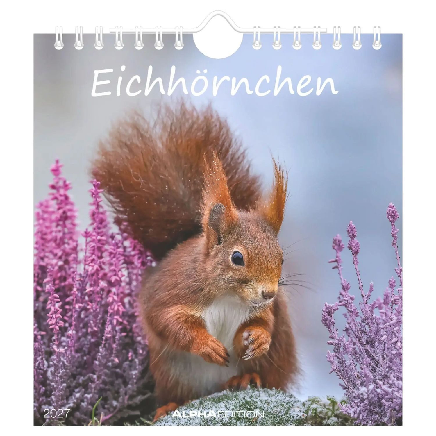 Alpha Edition Wandkalender Eichhörnchen 2027
