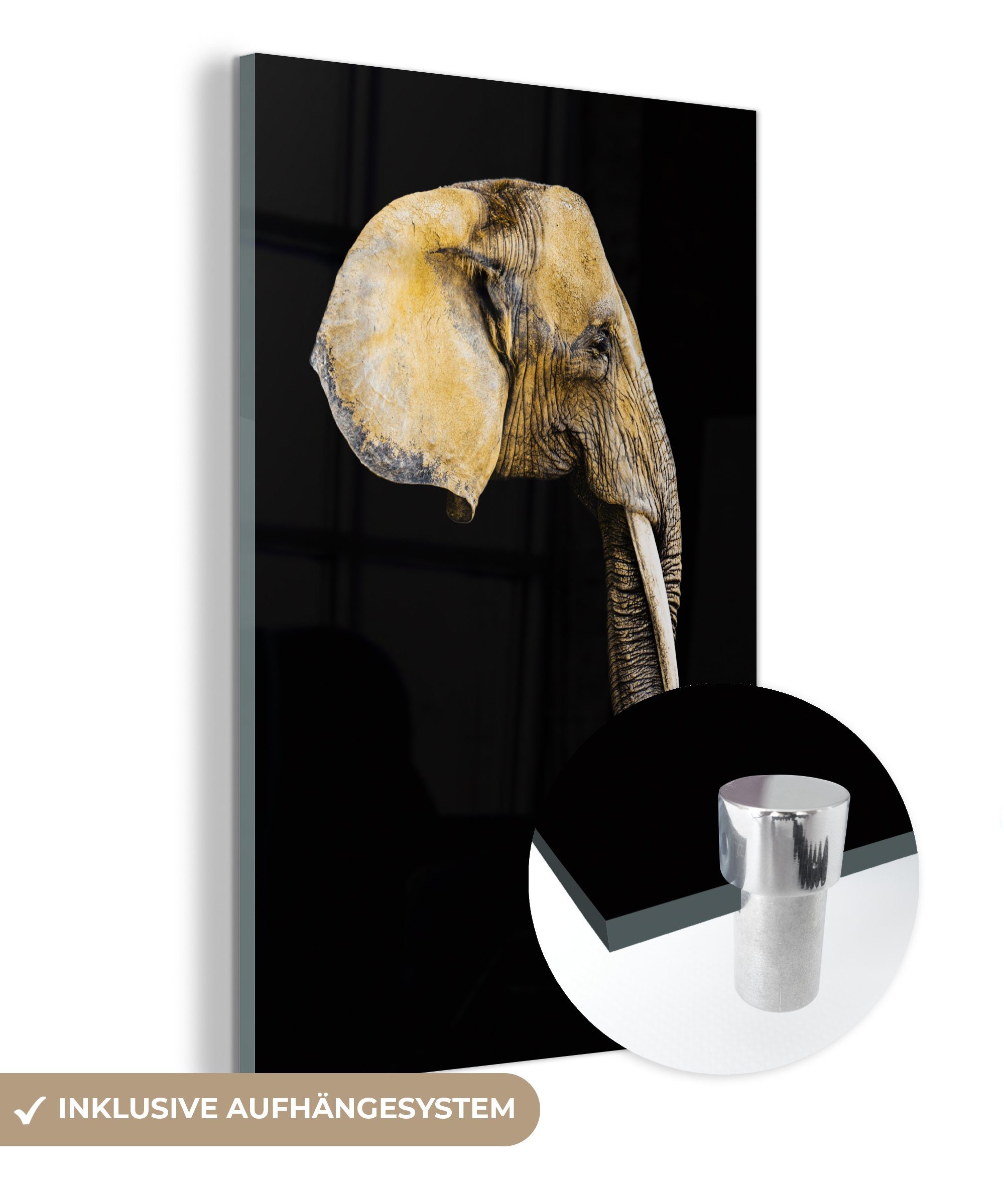 MuchoWow Acrylglasbild Elefant - Kopf - Schwarz, (1 St), Glasbilder - Bilder auf Glas Wandbild - Foto auf Glas - Wanddekoration