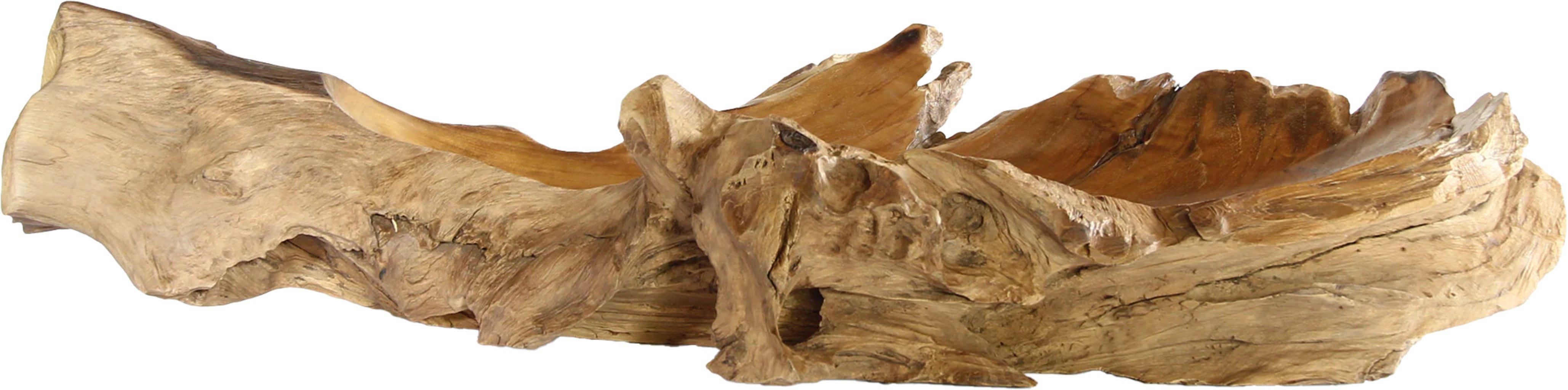 Möbel Bressmer Dekoschale Dekoschale Florent aus massivem Teak-Wurzelholz, handerbeit 70X20