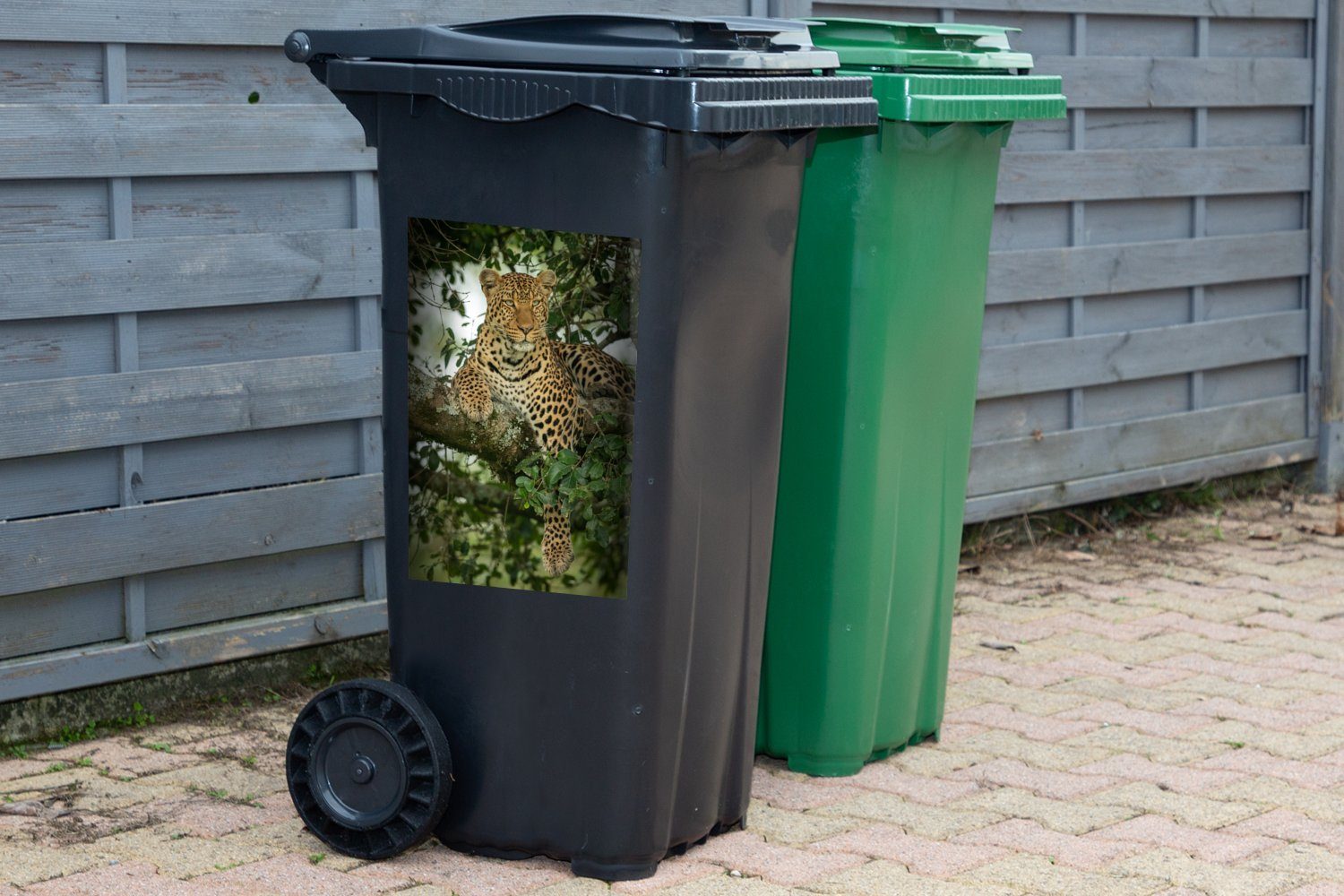 Wilde (1 - Mülleimer-aufkleber, Container, Abfalbehälter Sticker, Panther St), Mülltonne, MuchoWow Tiere - Wandsticker Baum