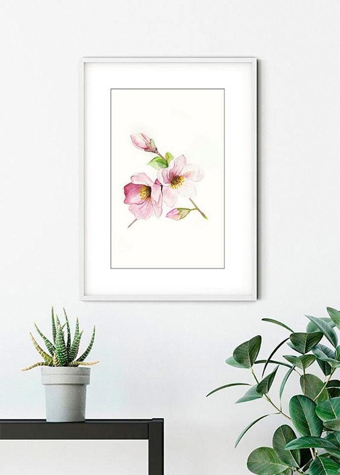 Komar Poster Magnolia (1 Schlafzimmer, St), Wohnzimmer Blumen Breathe, Kinderzimmer