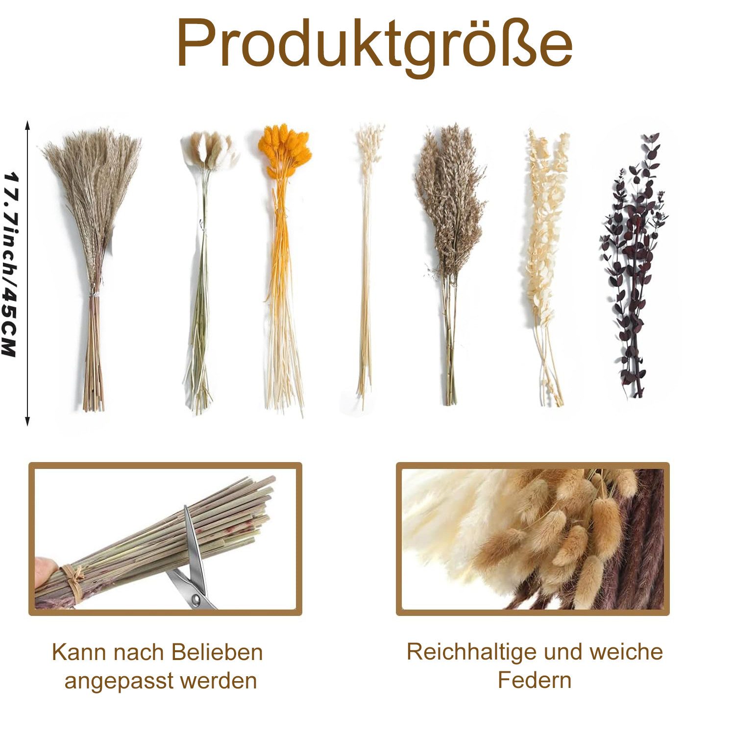 Trockenblume Pampasgras Getrocknet 100 Stück Natürliche Trockenblumen, Boho Dekor, wohnTRAUM24, Höhe 43 cm, DIY Trockene Blüten Strauß for Boho Wohnzimmer-Schlafzimmer-und Vasen