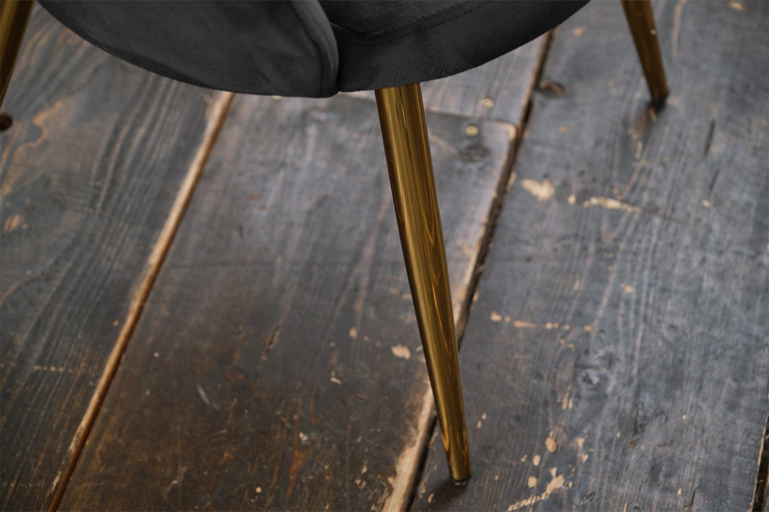 Esszimmerstuhl | gold Fuß Farben, versch. Velvet, CARLA, schwarz od. Stuhl schwarz KAWOLA gold