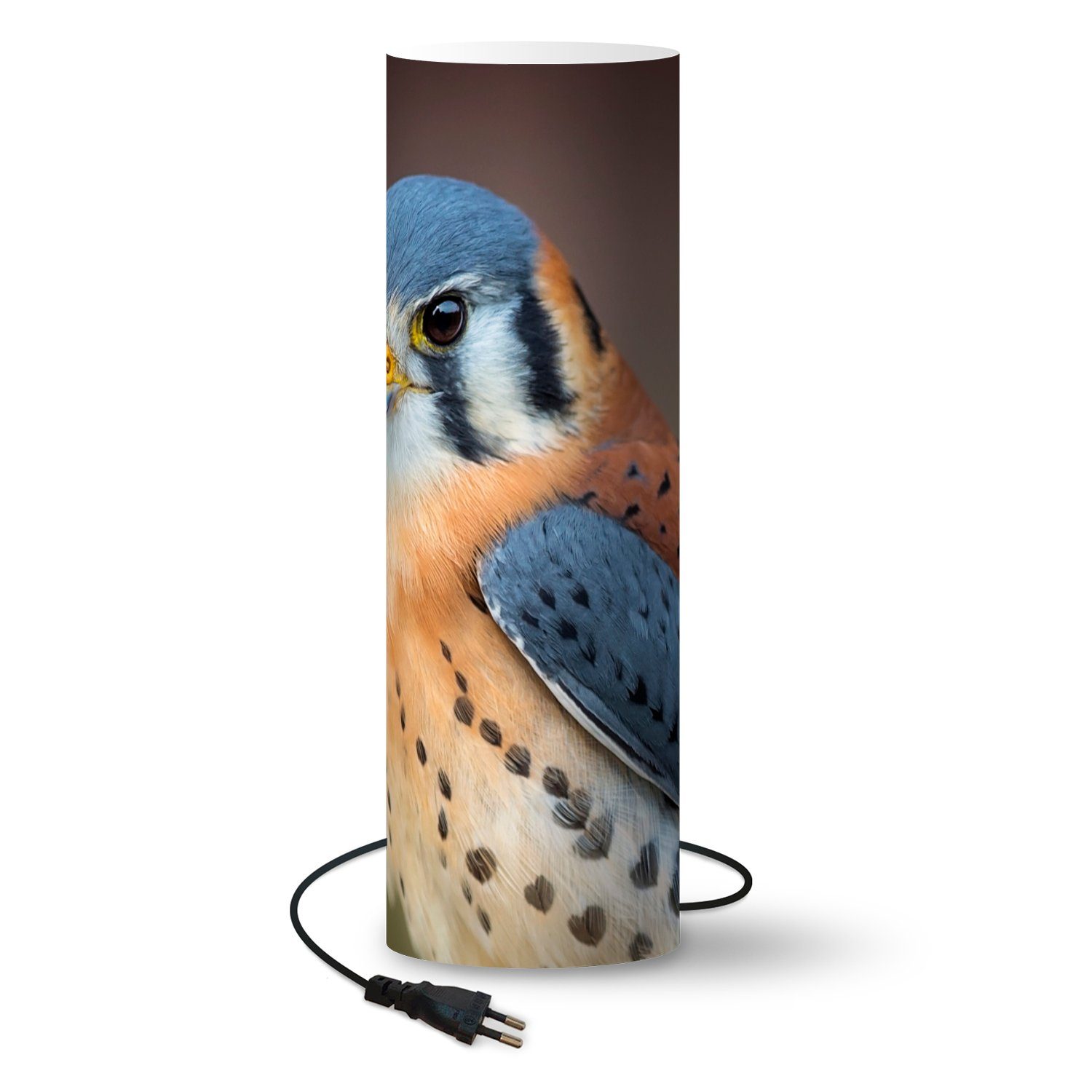 MuchoWow Tischleuchte Vogel - Makro - Blau, LED wechselbar, Lampen  Stehlampen Stehleuchte, Inklusive LED-Lampe