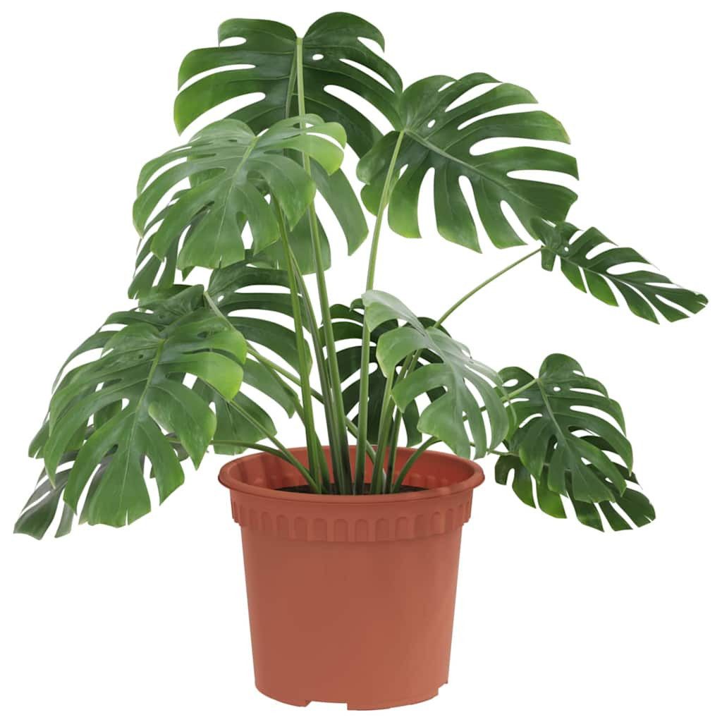 furnicato Blumentopf Runder 12,5 x 10 cm Ziegelrot, Blumenkübel mit Abflusslöchern für deinen Garten oder Balkon