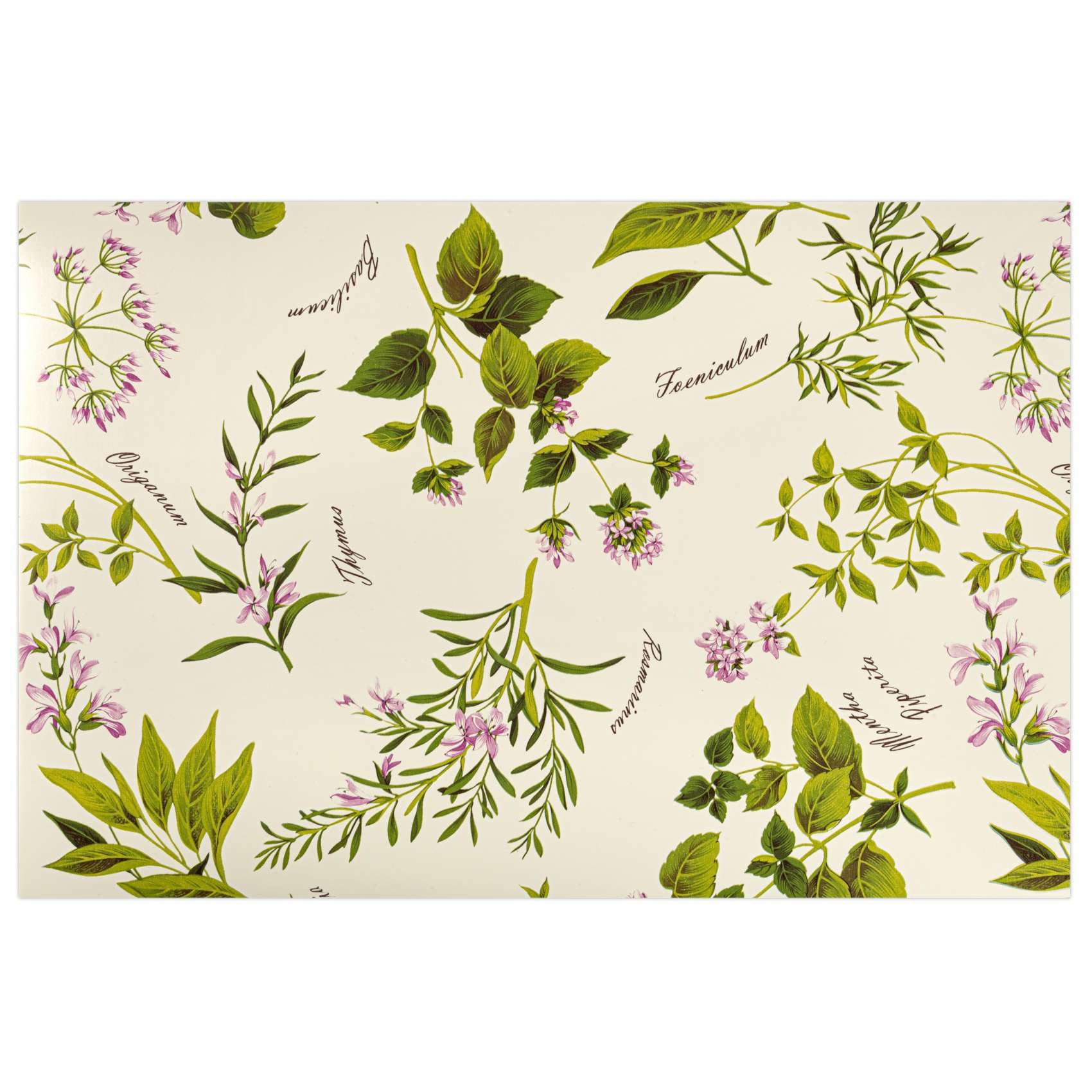 ANRO Platzset DEIN Platzdeckchen Servierdeckchen Soft Tischset Tellerunterleger, (Einzelstück, 1-St., einzelverpackt), Glatt, leichte Narbung 45x30cm Botanica
